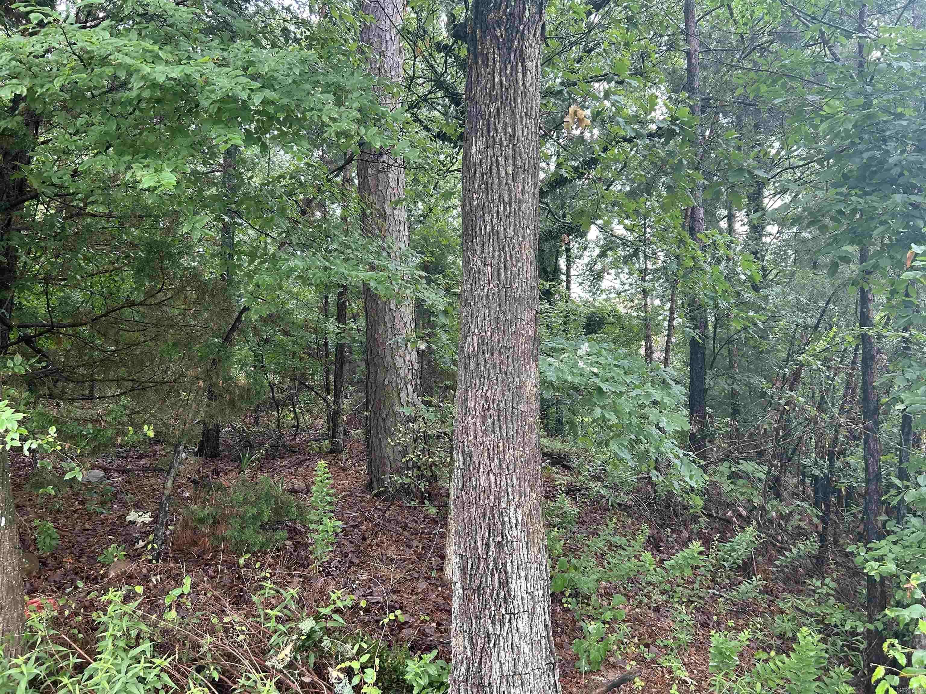 Maumelle, AR 72113,26 Norfork Drive