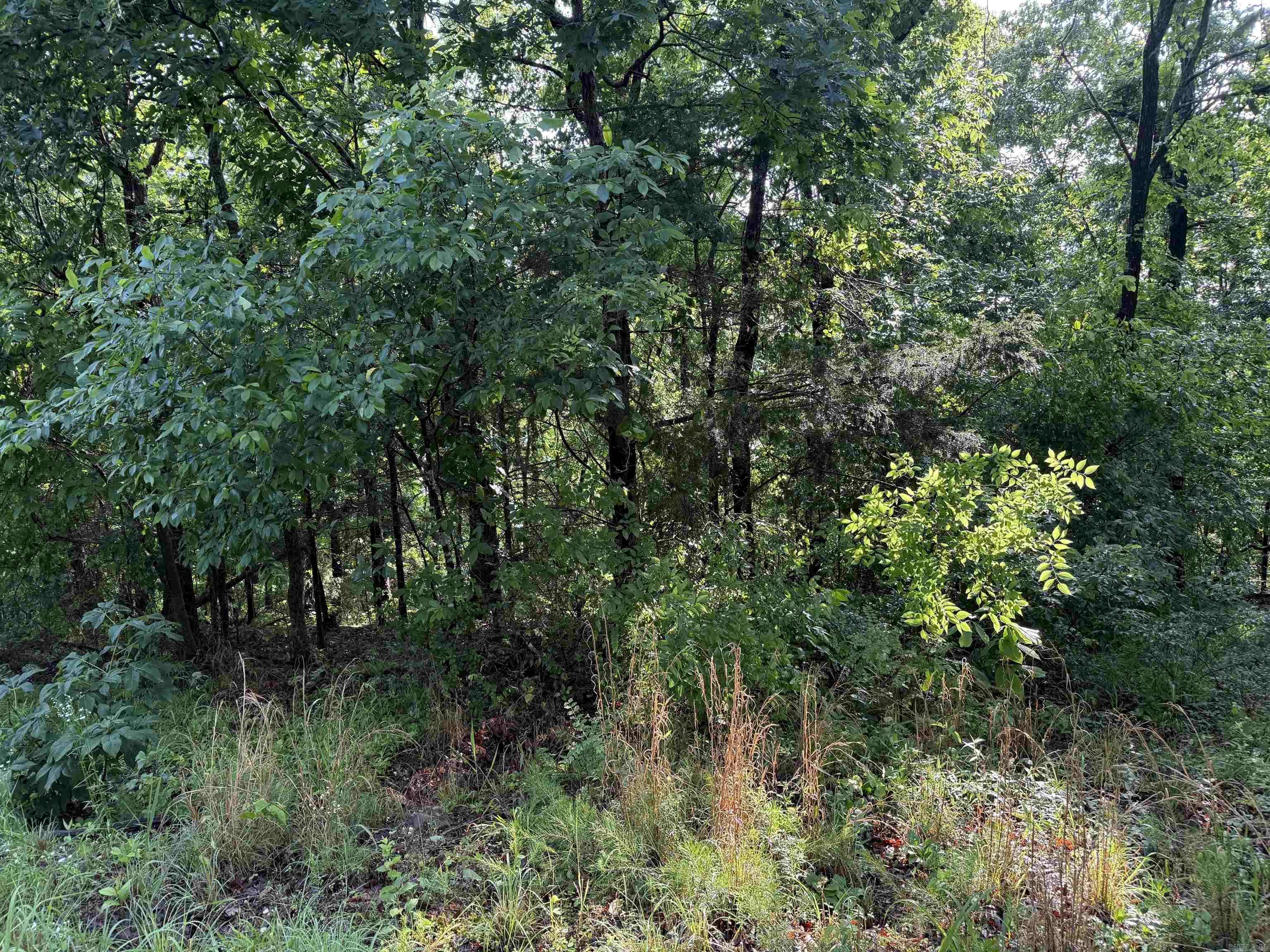 Greers Ferry, AR 72067,Lot 9 Island View Drive