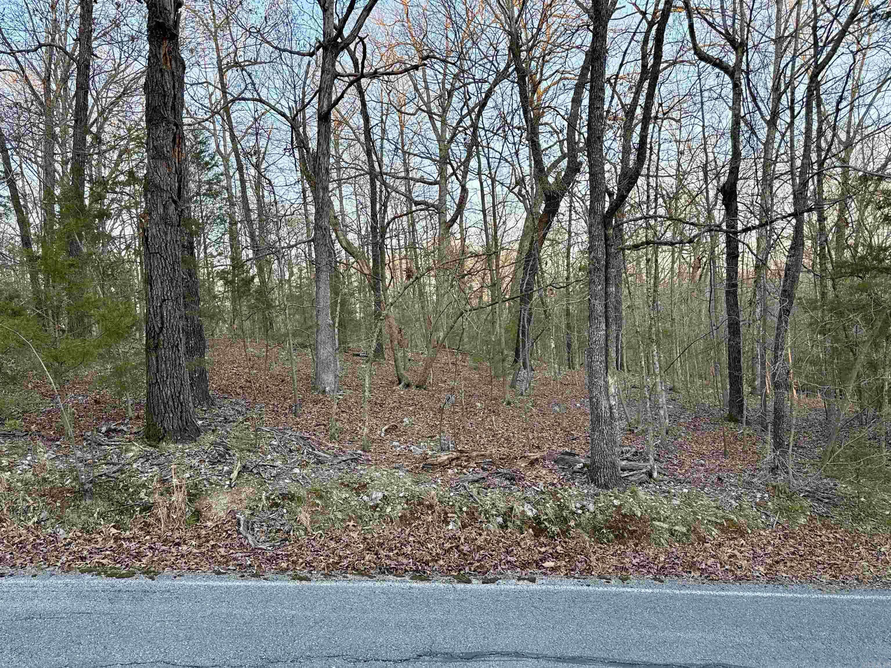 Lakeview, AR 72642,TBD Edgewood Bay Drive