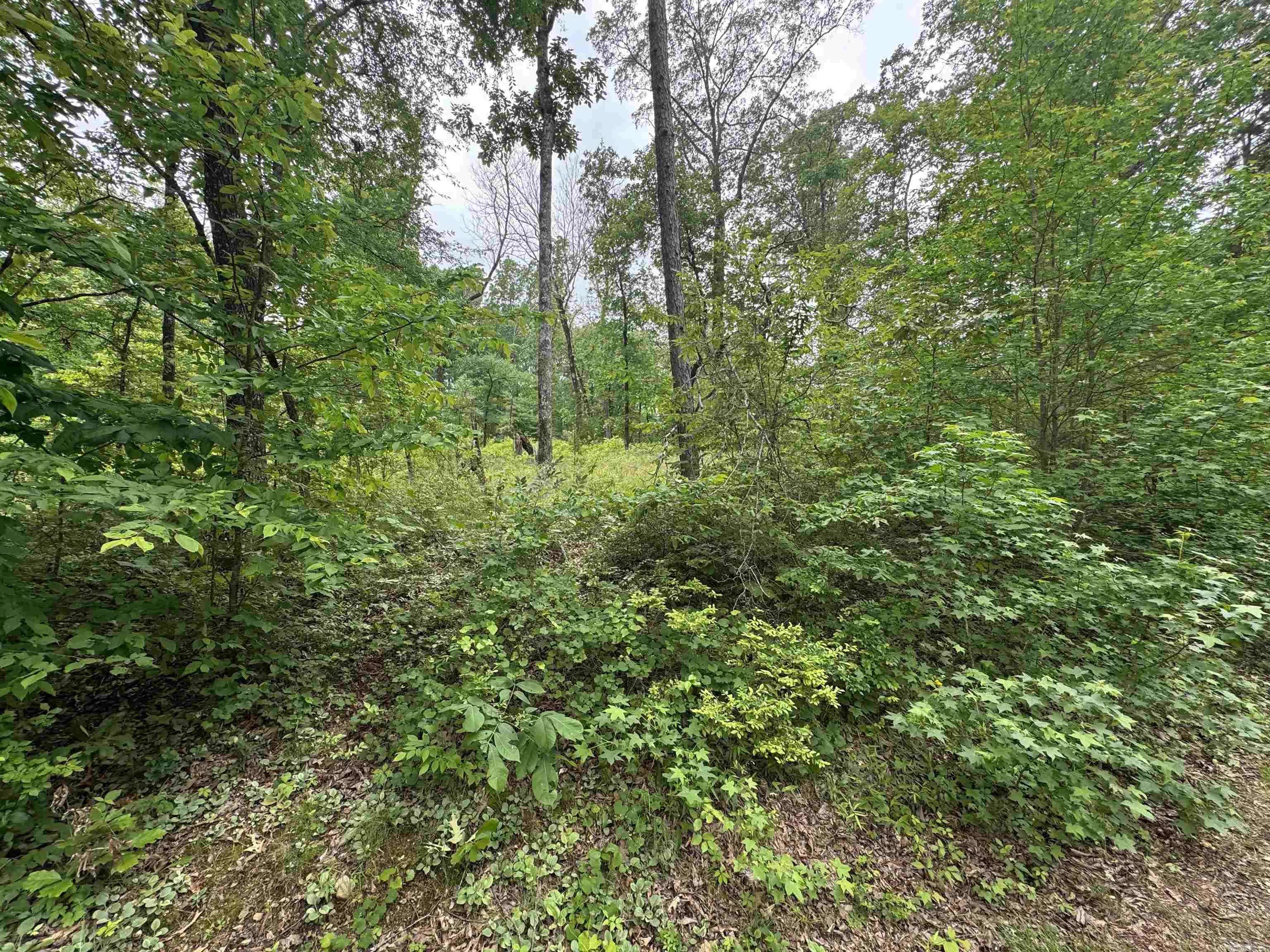 Hot Springs, AR 71913,Lot 3251 Ohio Drive