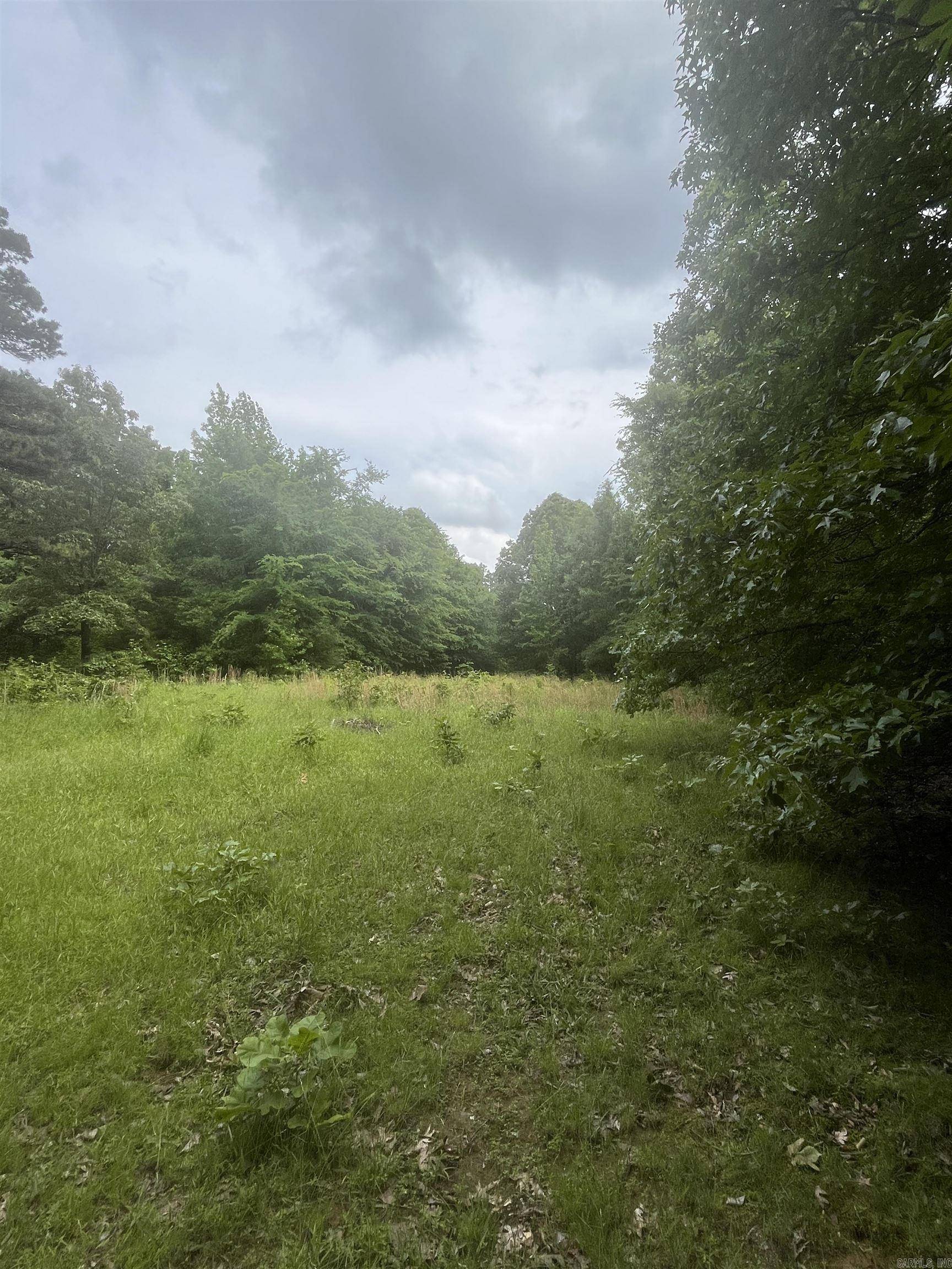 Lafe, AR 72443,83 Acres Greene 402 Rd