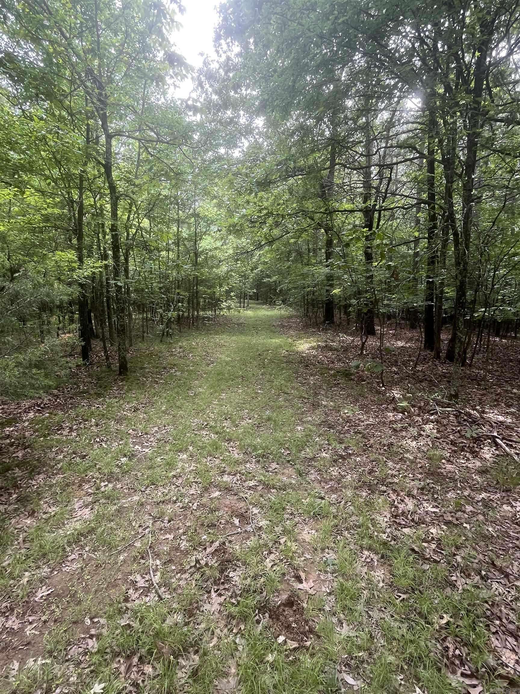 Lafe, AR 72443,83 Acres Greene 402 Rd