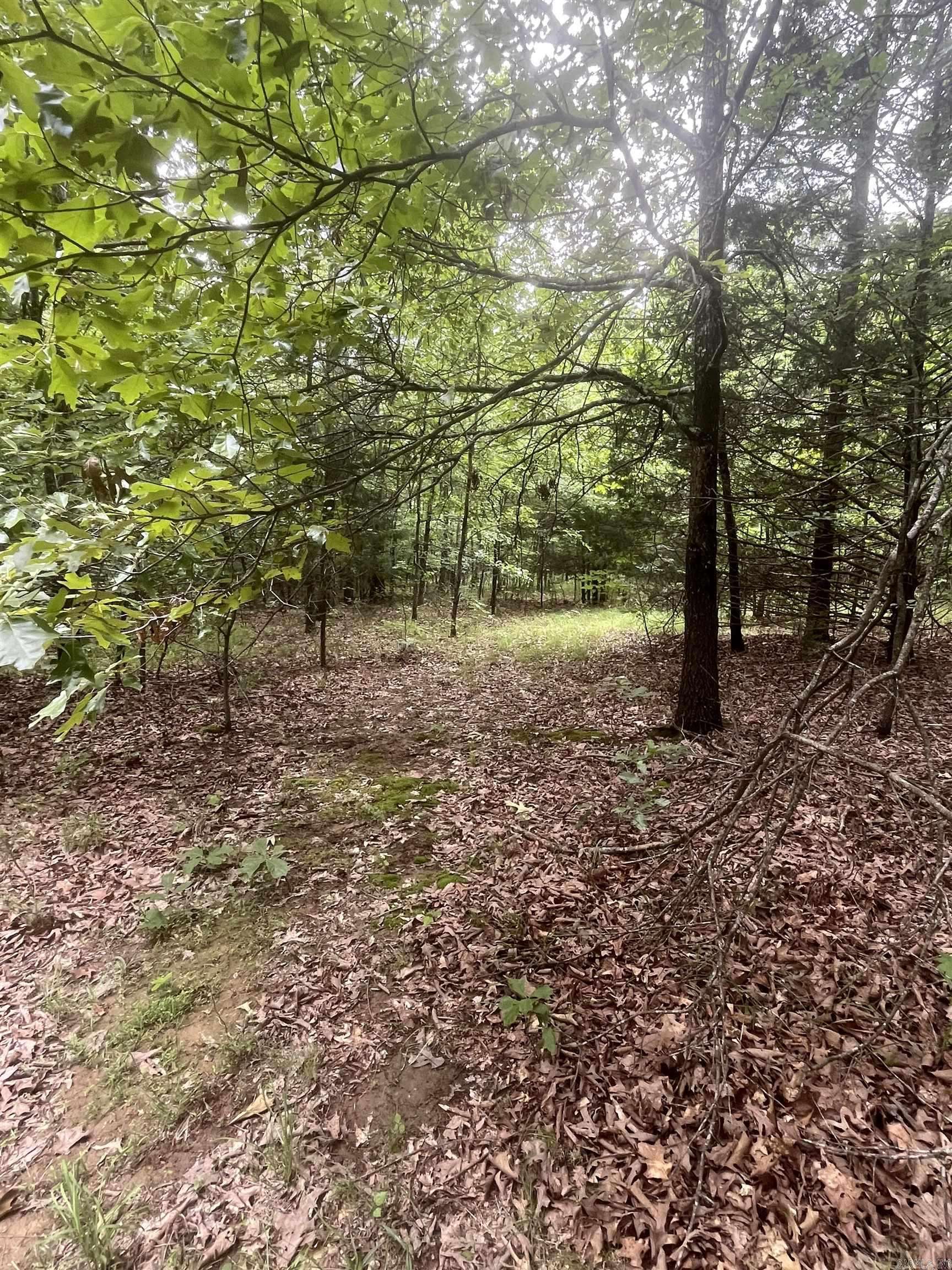 Lafe, AR 72443,83 Acres Greene 402 Rd