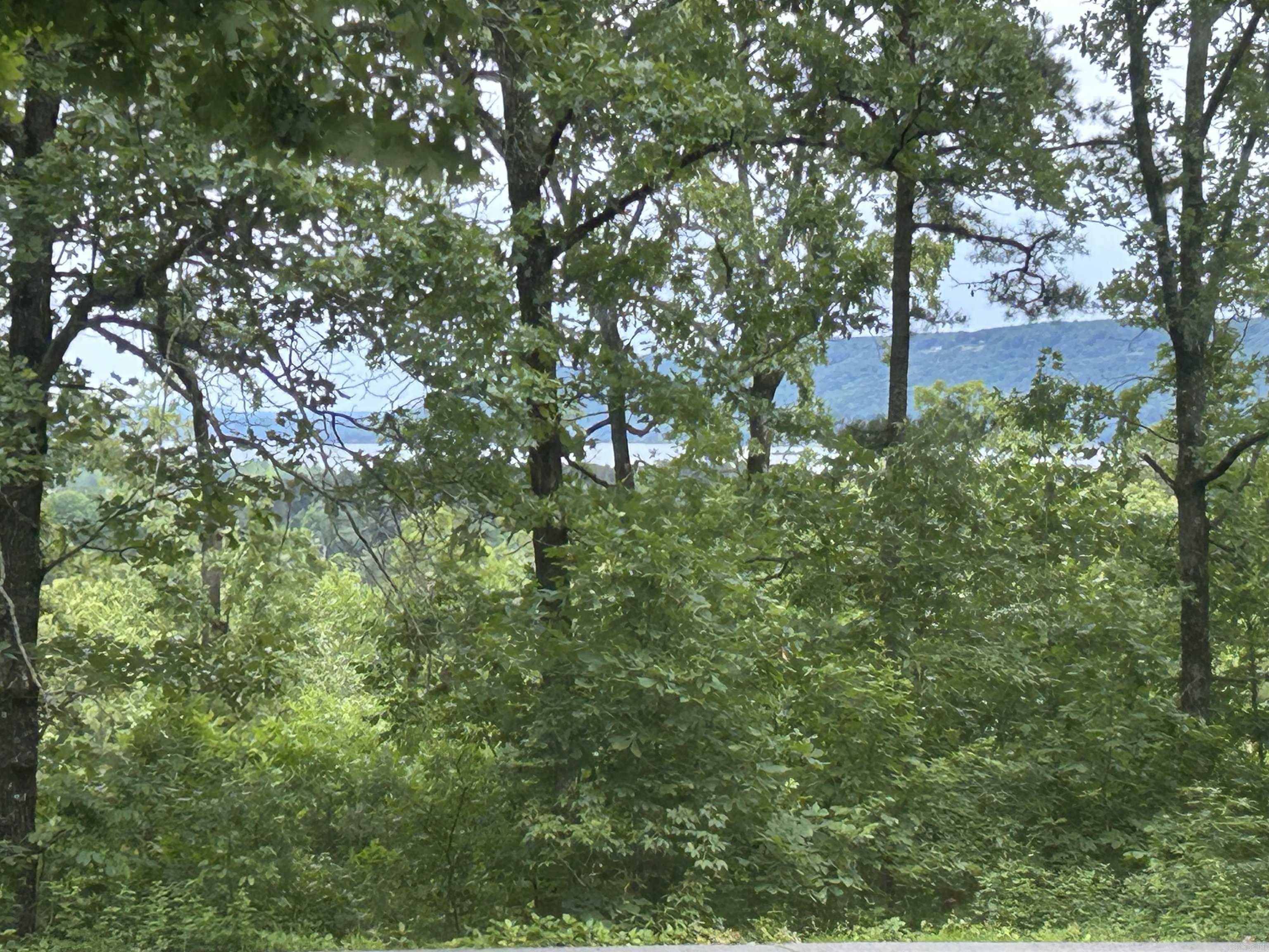 Higden, AR 72067,99 Heritage Hill