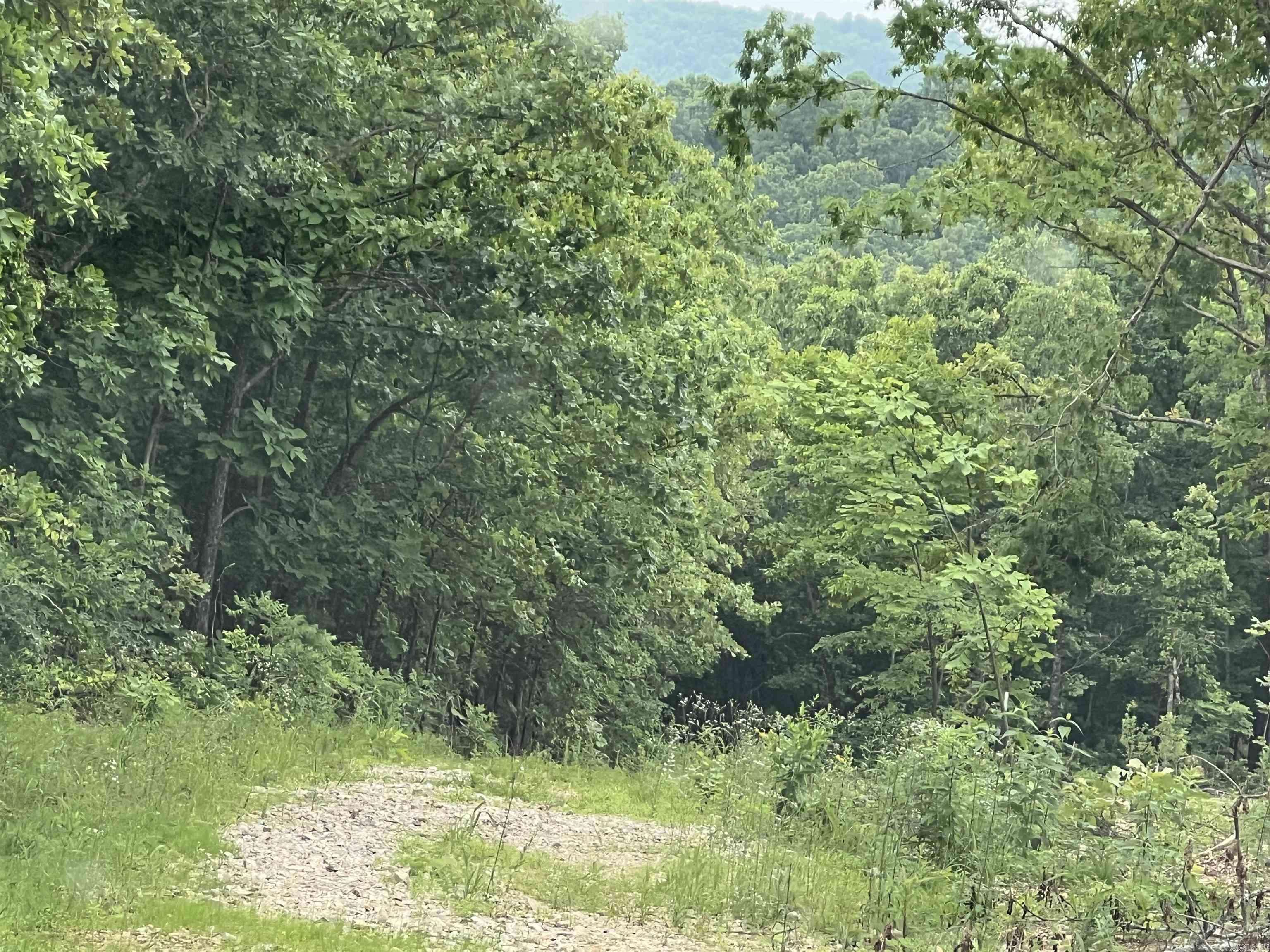 Mammoth Spring, AR 72554,000 Private Road Off Walnut Grove
