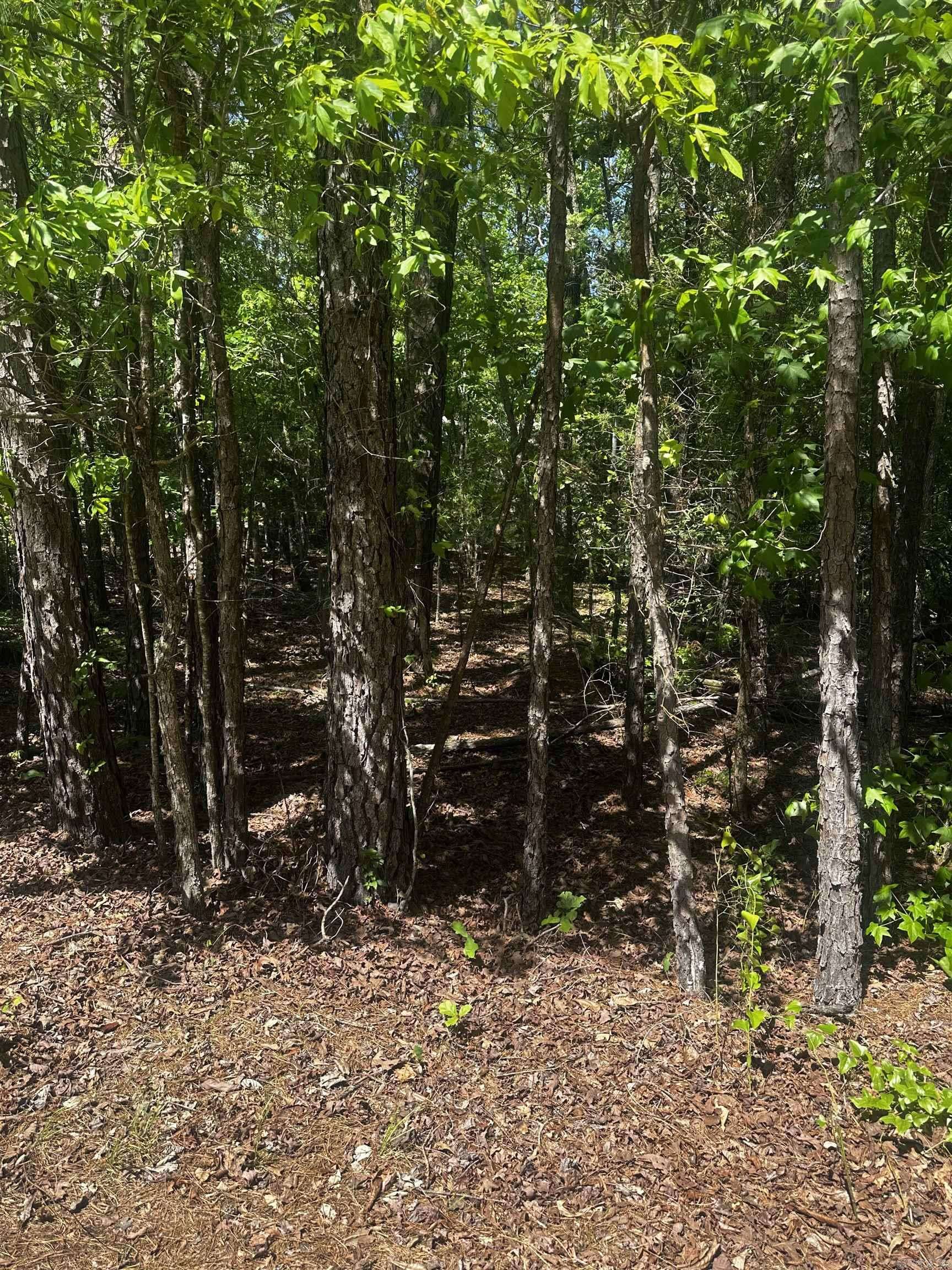 Hot Springs Village, AR 71909,23 Andorra Circle