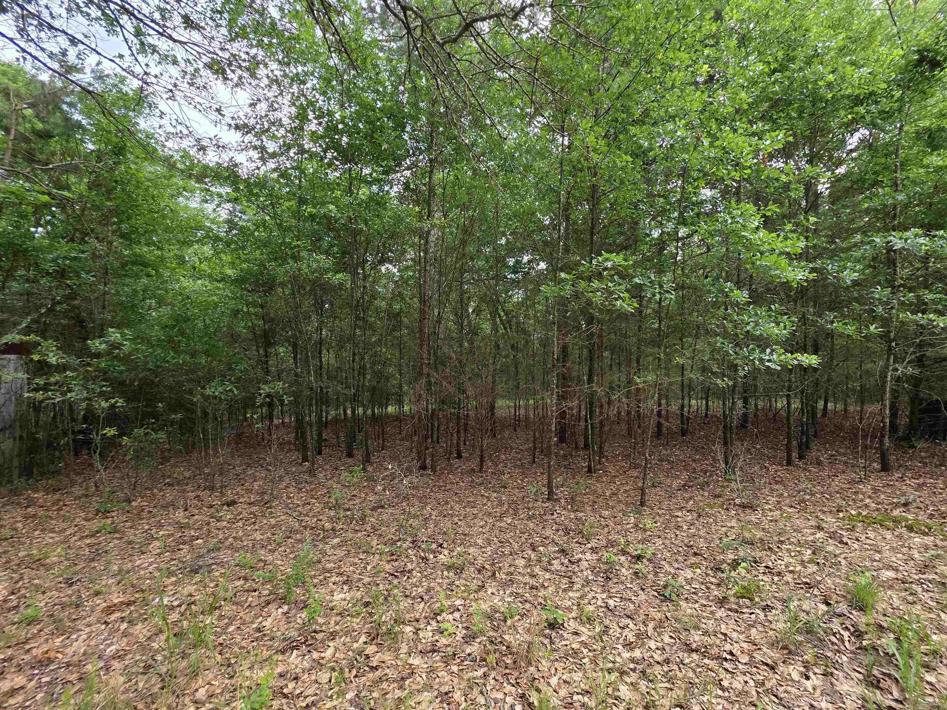 Hatfield, AR 71945,441 Polk Road 30