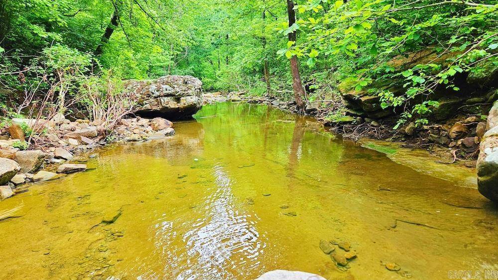Witt Springs, AR 72686,Address not disclosed
