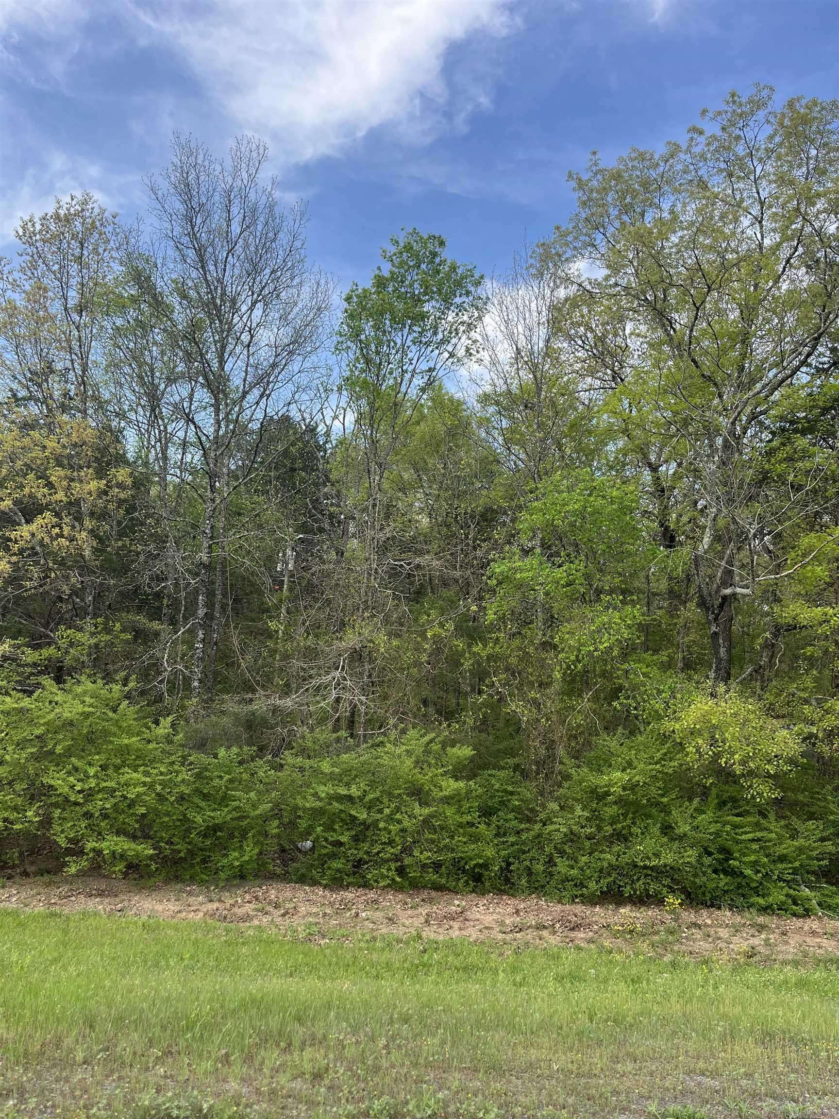 Clinton, AR 72013,Clinton Lynch Rd Lot#1