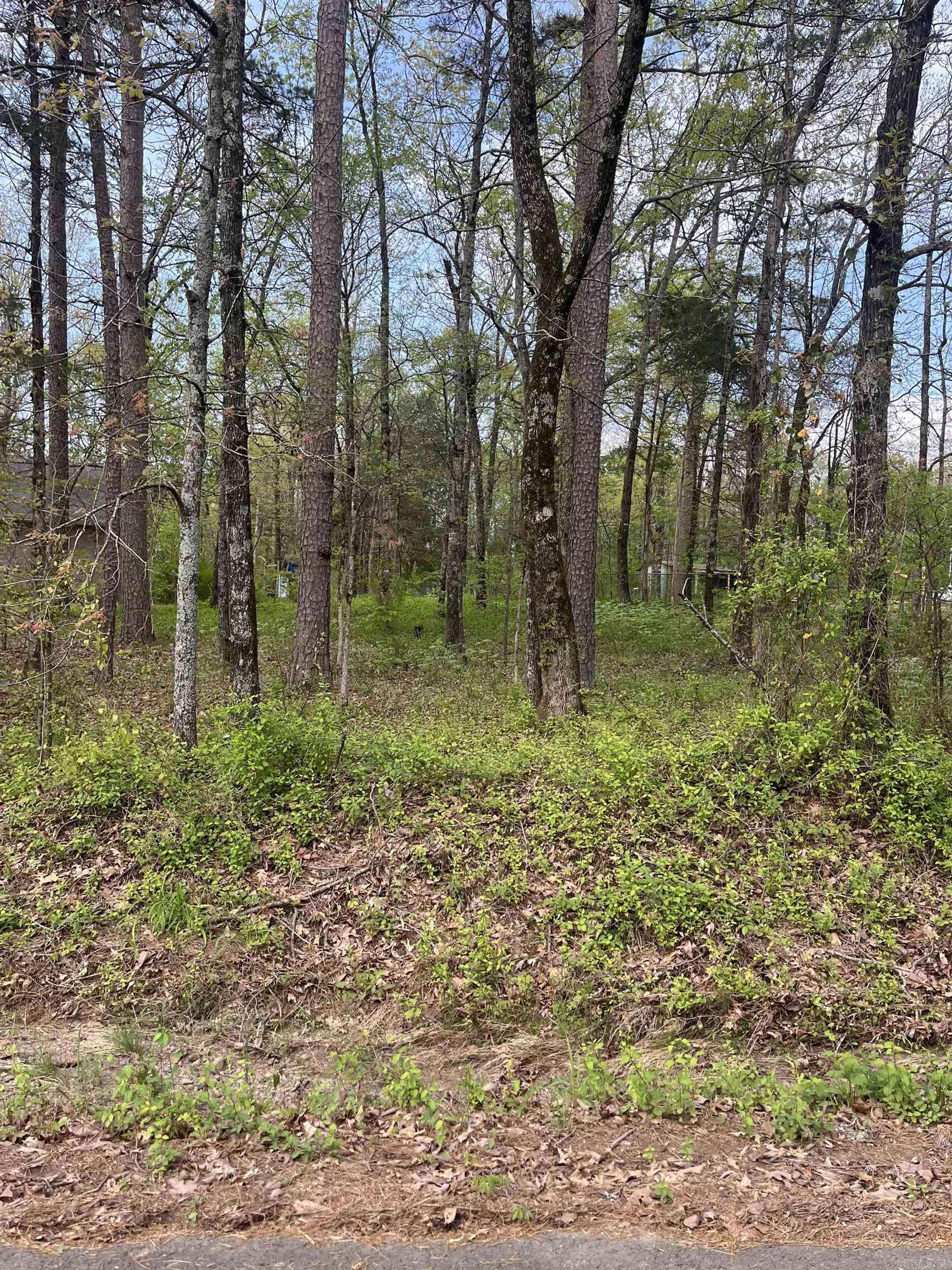 Clinton, AR 72013,Clinton Lynch Rd Lot#1