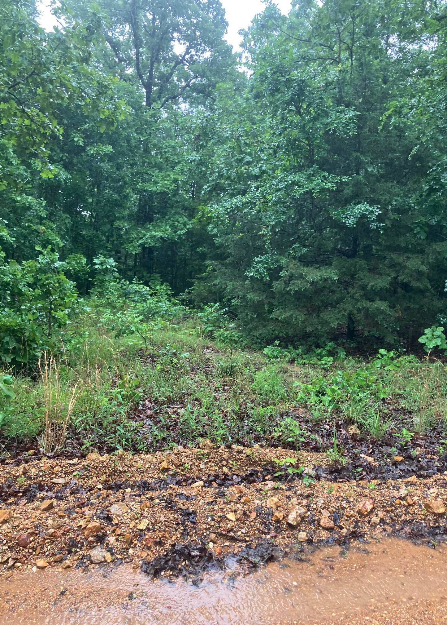 Williford, AR 72482,000 Newman Trail