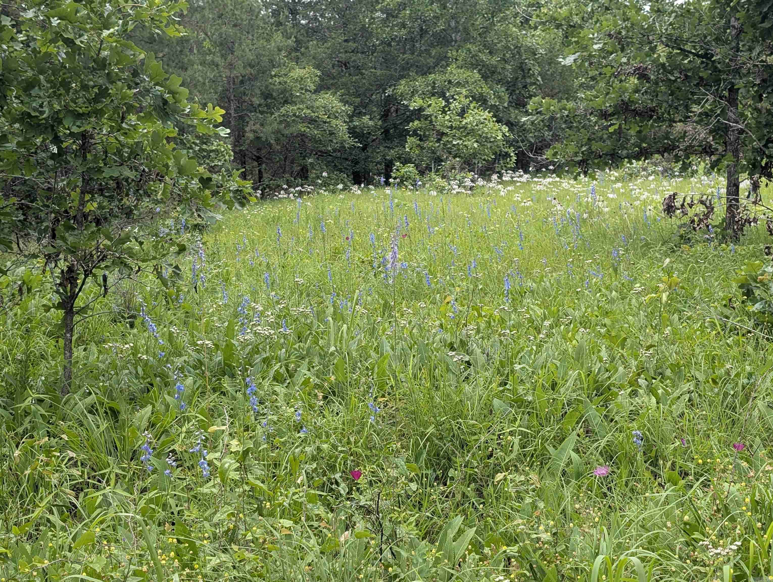 Smithville, OK 74957,533 Caney Creek Loop