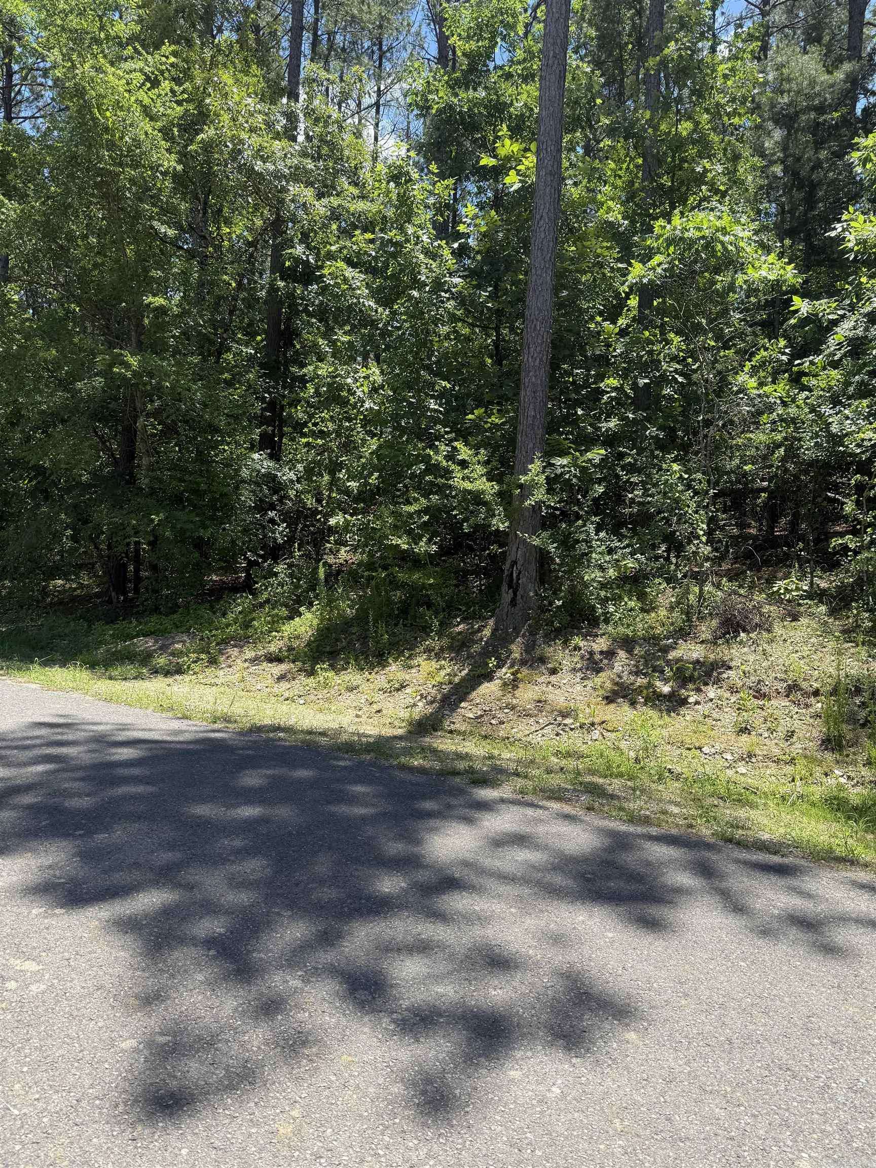 Hot Springs Village, AR 71909,68 Manzanares Drive