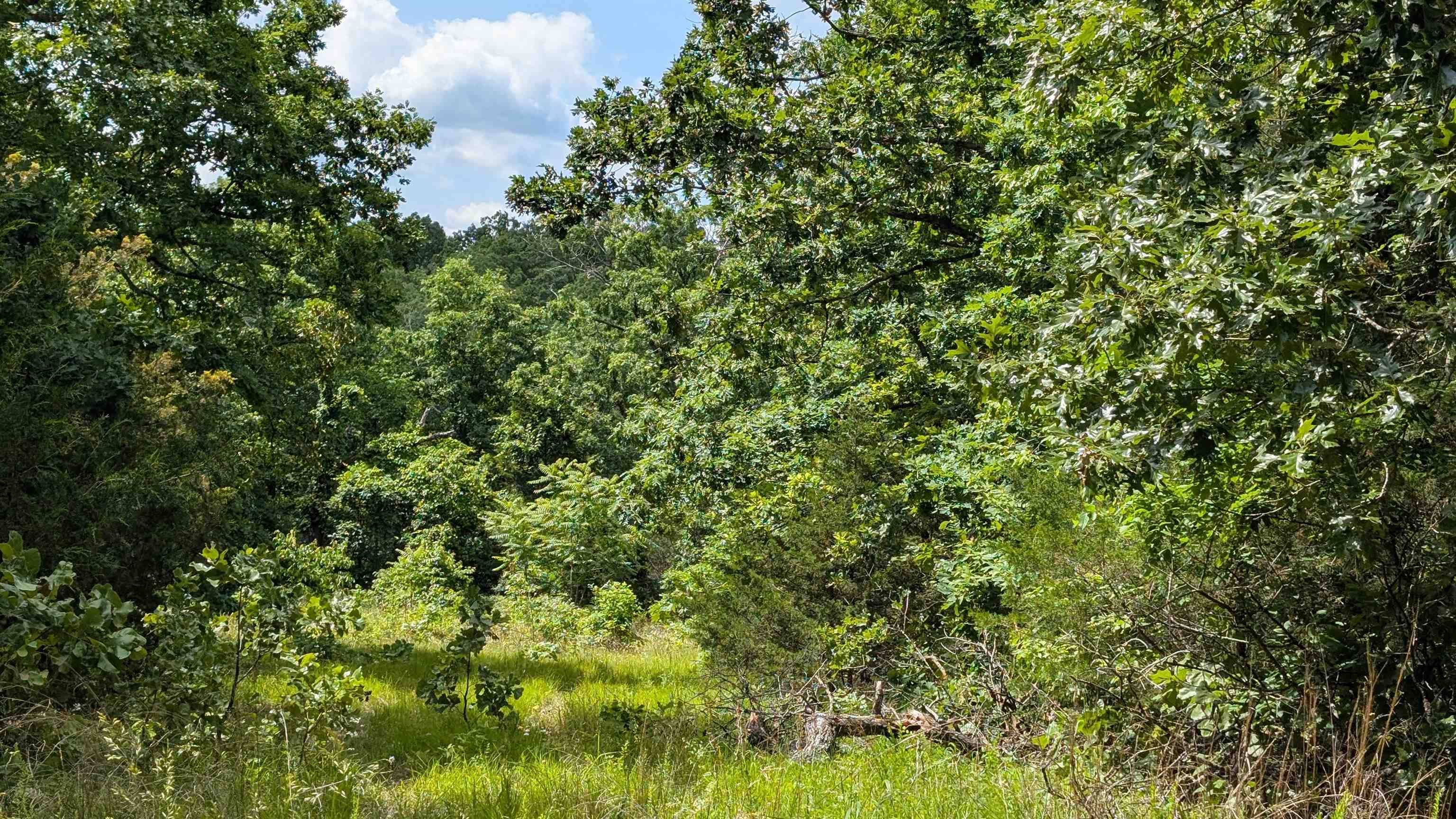 Horseshoe Bend, AR 72512,102 Basswood Lane