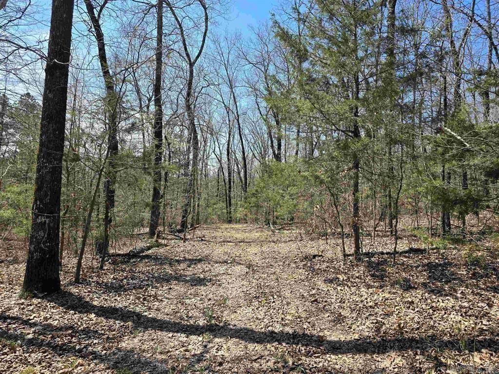 Greenbrier, AR 72058,360 Banister Rd.