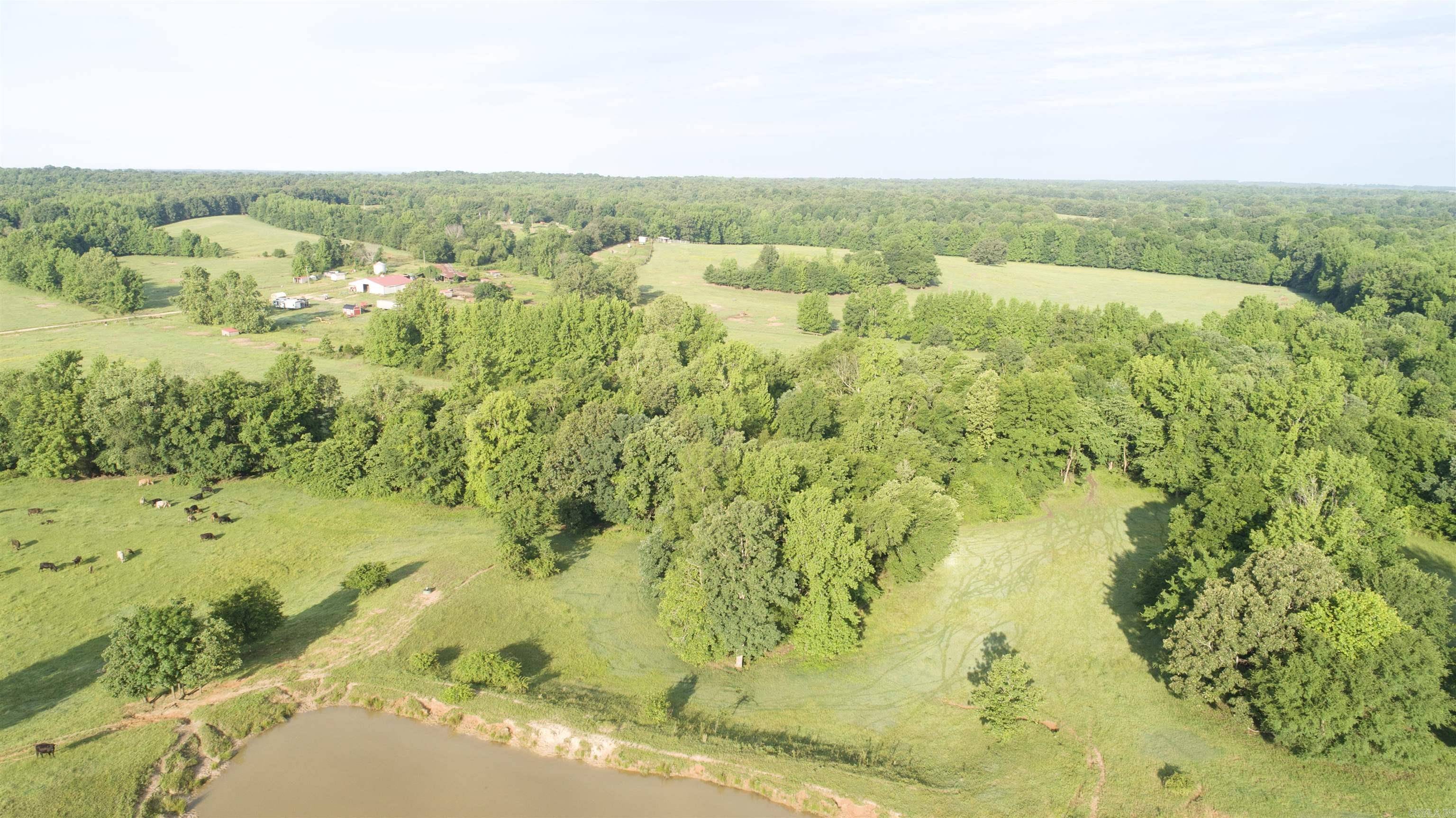 Piggott, AR 72456,County Road 461