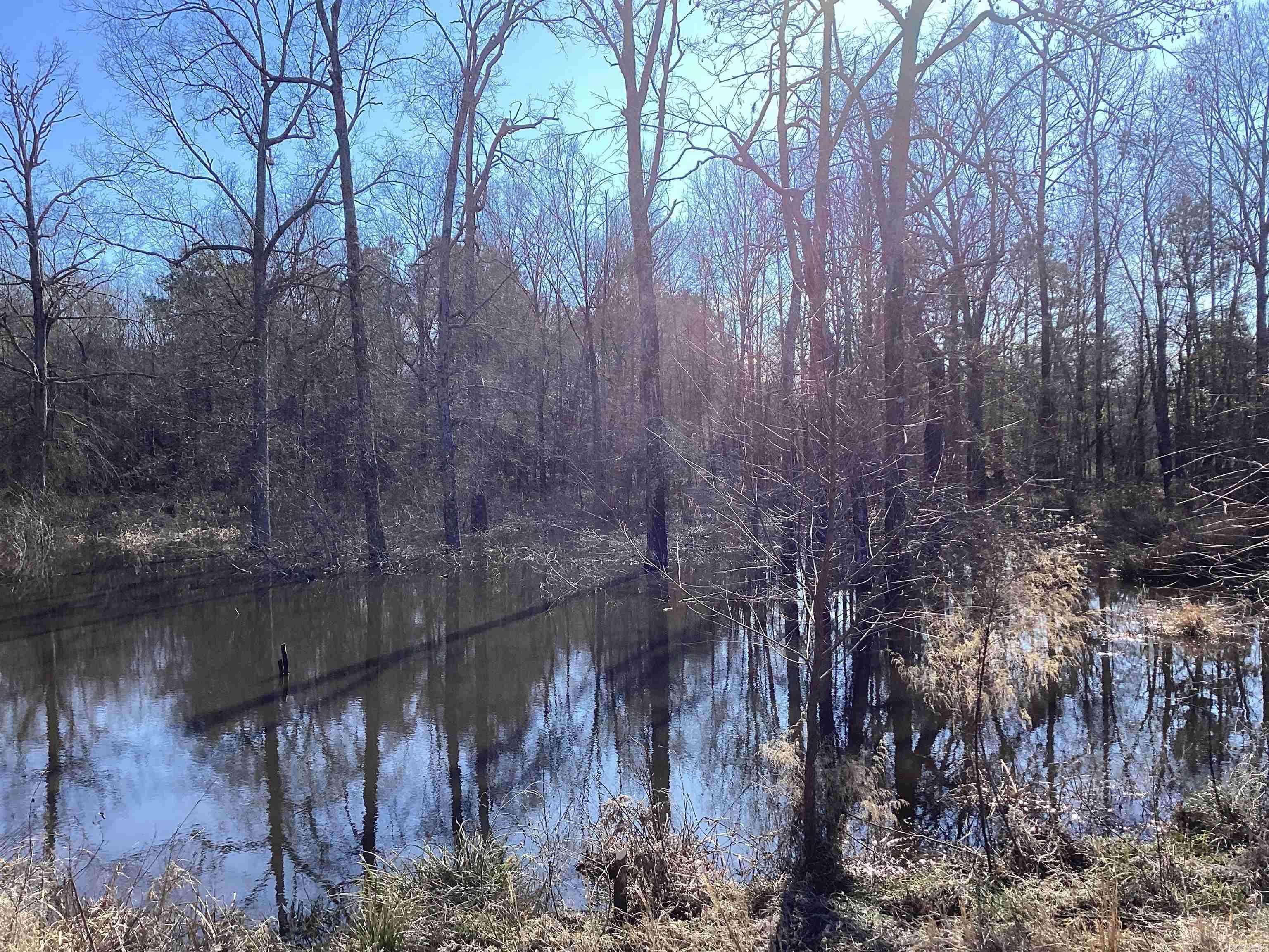 Prescott, AR 71857,County Road 41