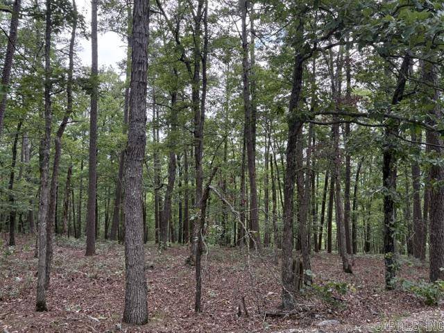 Hot Springs Village, AR 71909,Address not disclosed