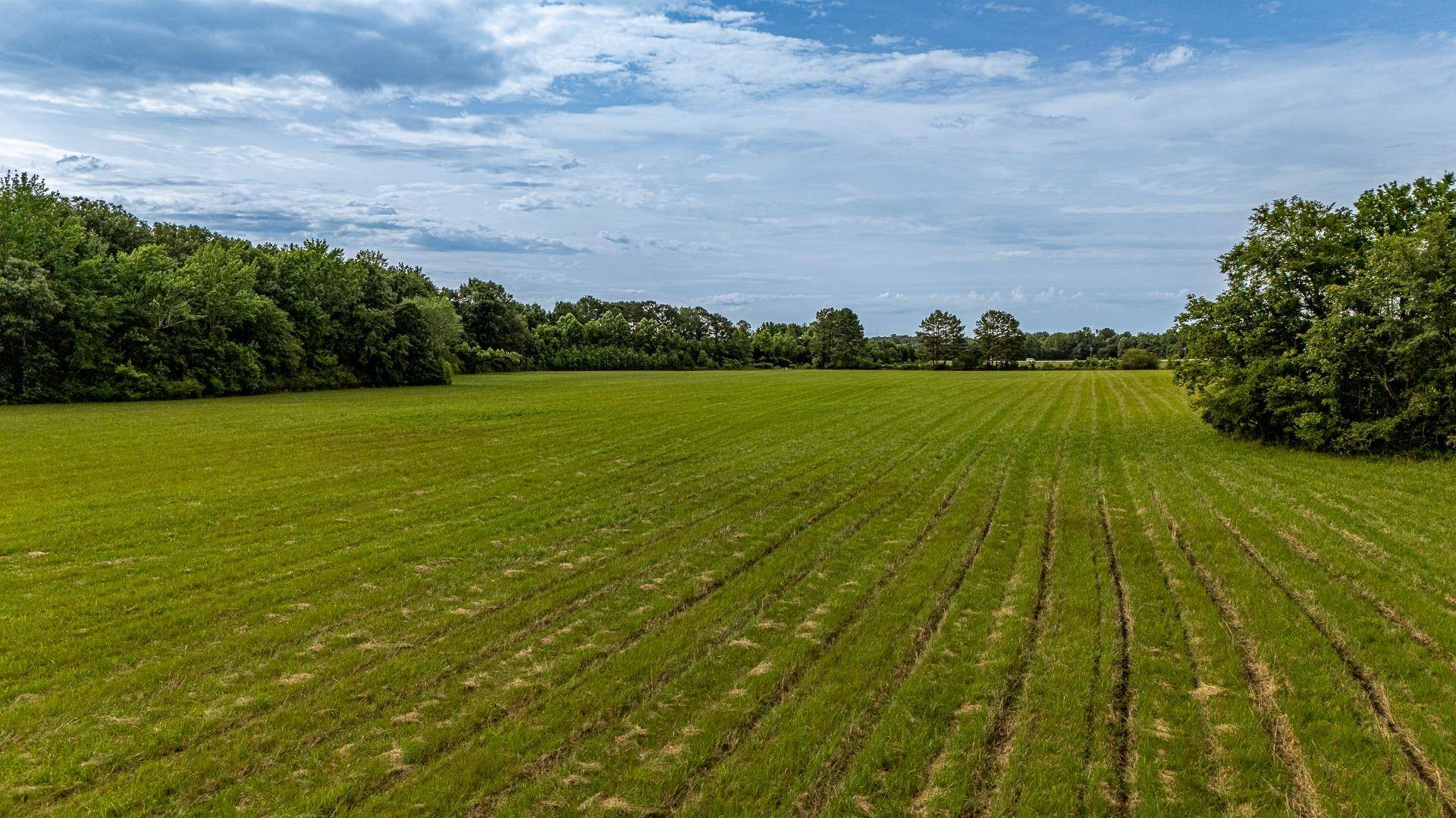Paragould, AR 72450,2- 12 ac Tracts 761 Road