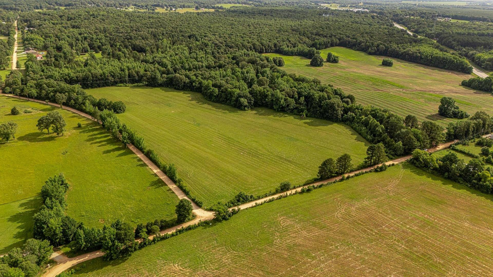 Paragould, AR 72450,2- 12 ac Tracts 761 Road