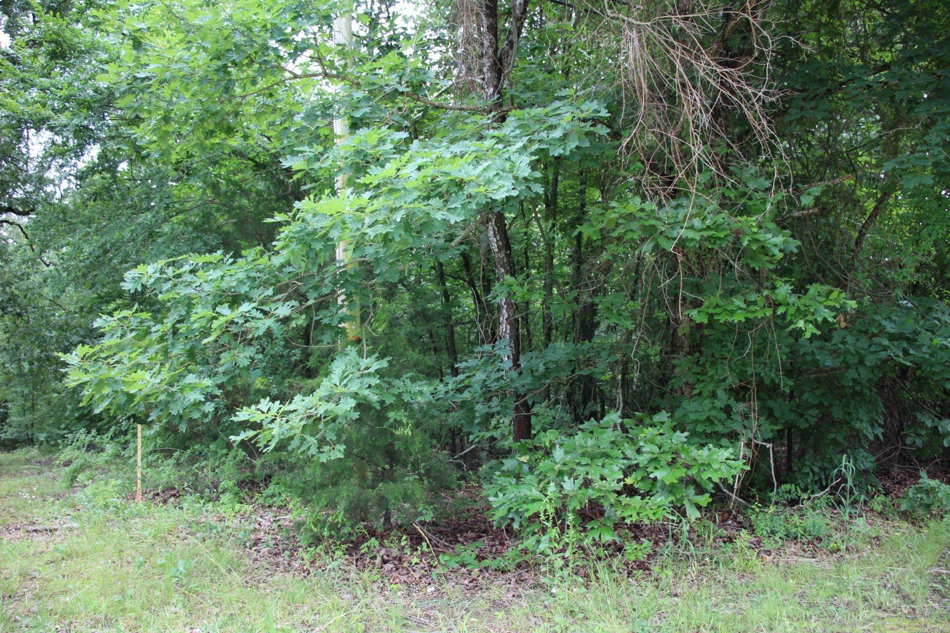Lakeview, AR 72642,Address not disclosed