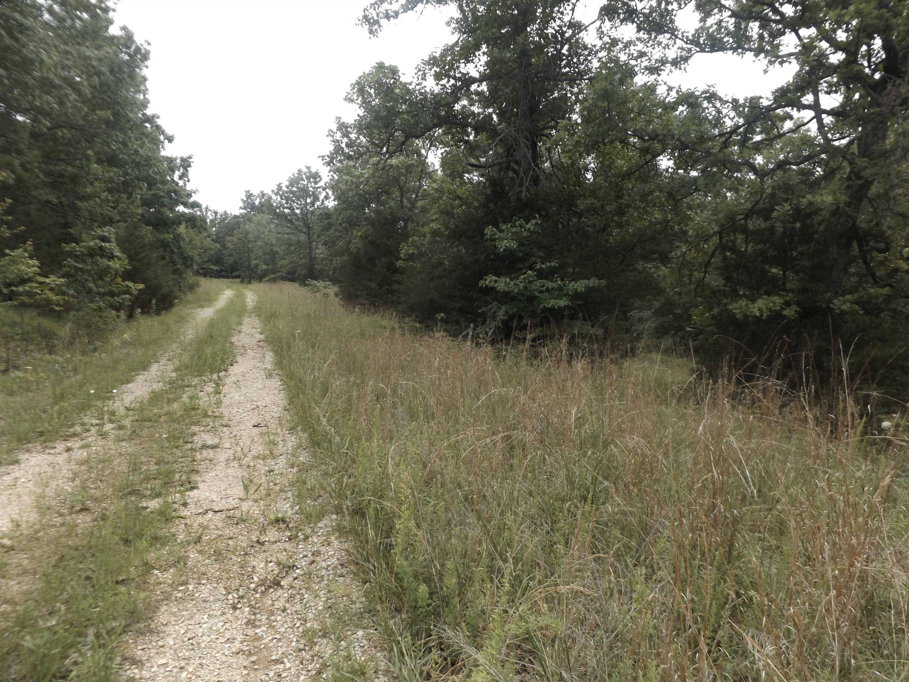 Mountain Home, AR 72653,Tracts 1,2,3,4 Sherwood Hills Drive