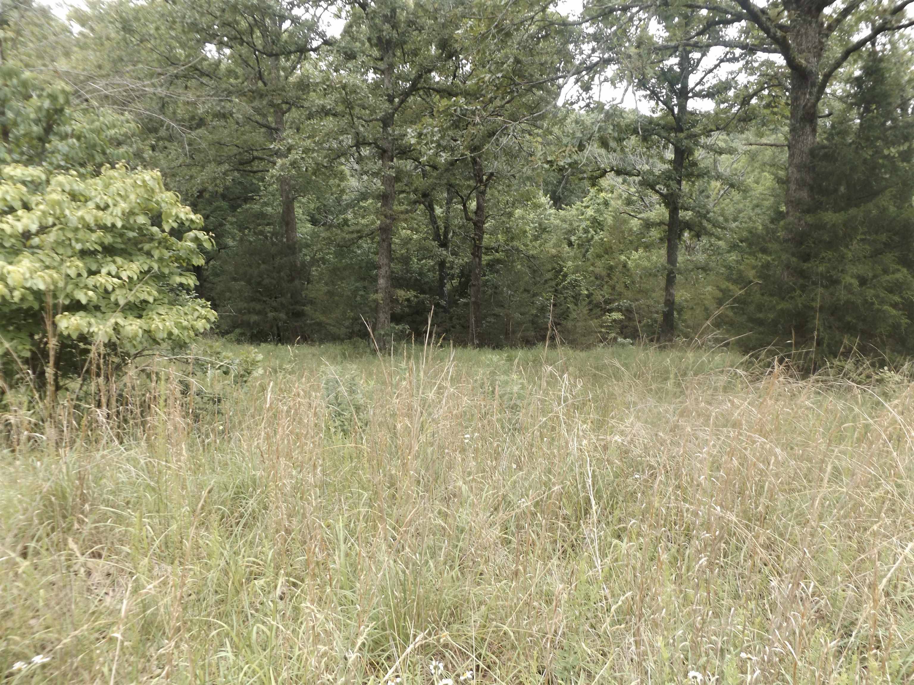 Mountain Home, AR 72653,Tracts 1,2,3,4 Sherwood Hills Drive