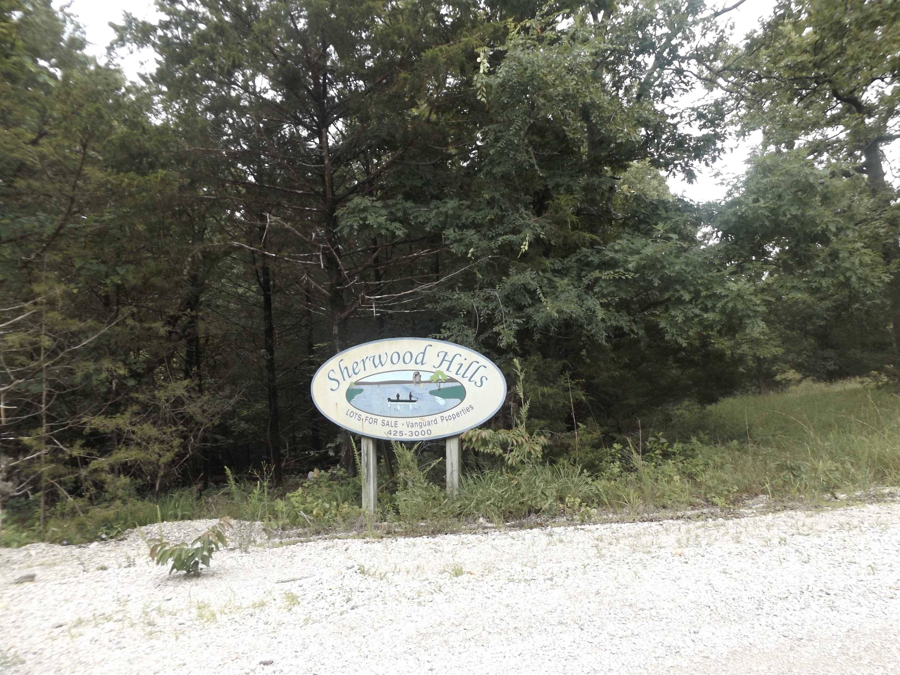 Mountain Home, AR 72653,Tracts 1,2,3,4 Sherwood Hills Drive