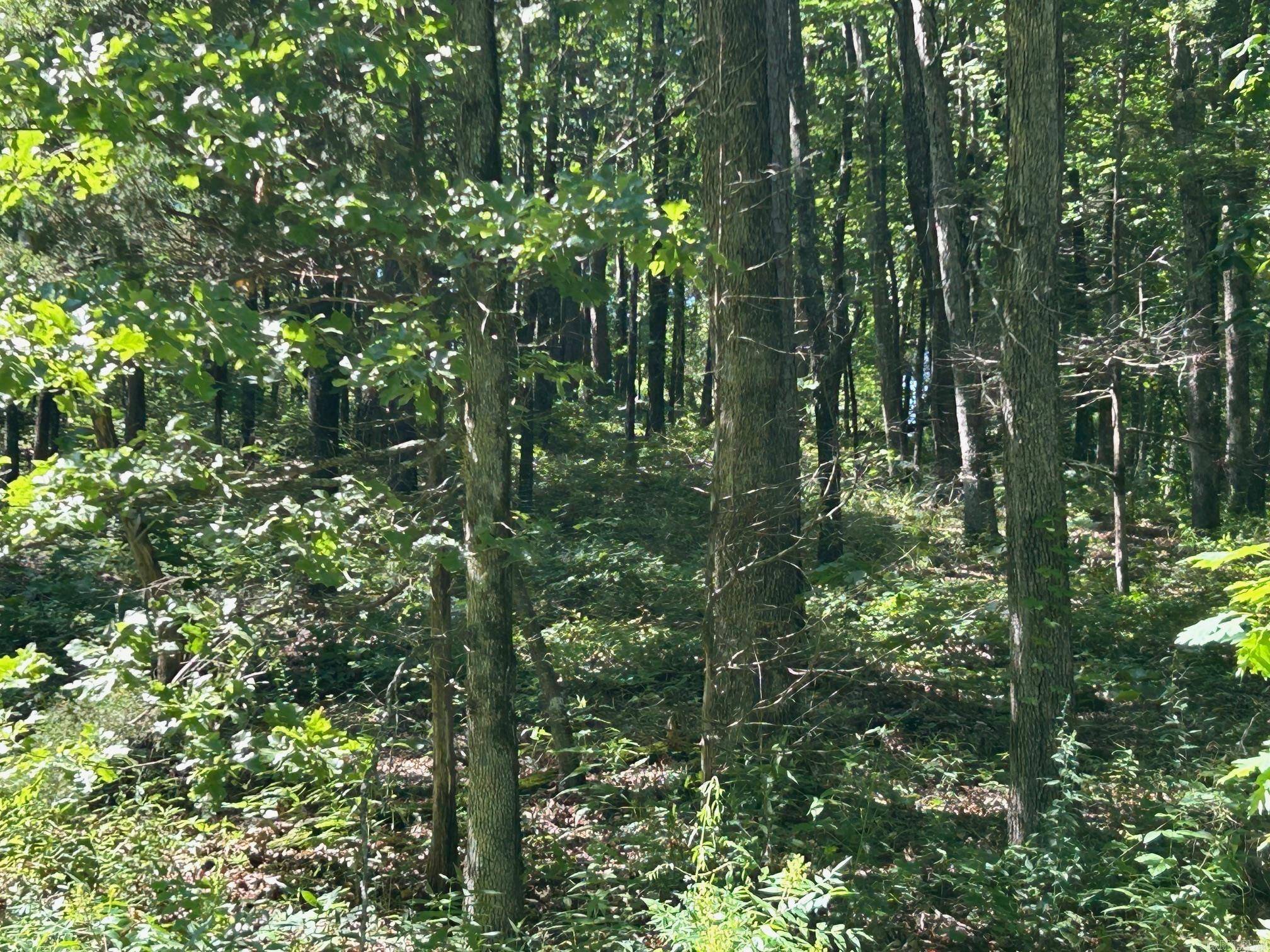 Clinton, AR 72031,Timber Grove Road