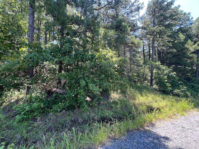 Heber Springs, AR 72543,approx 53 Fredrick Lane