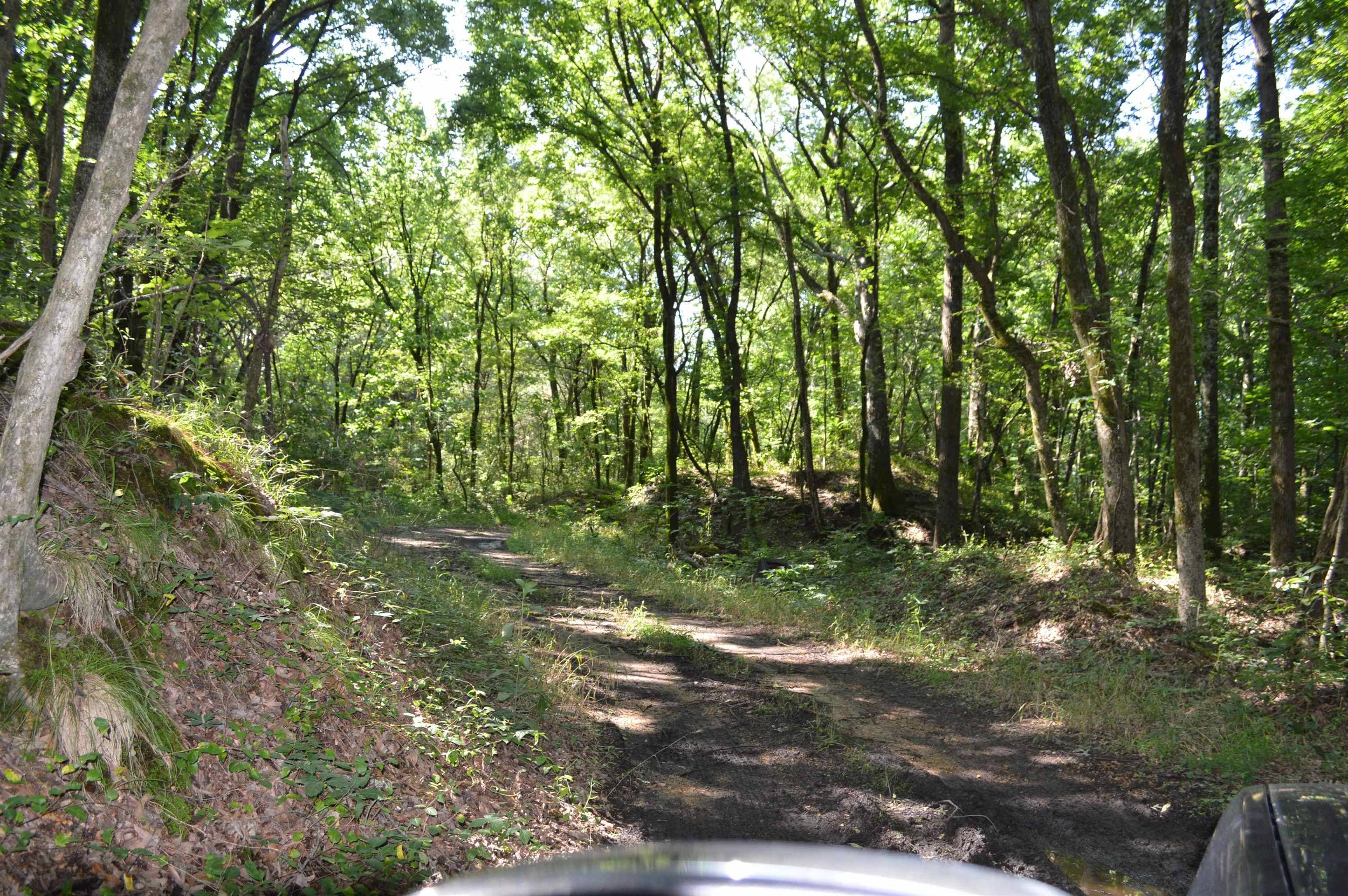 Harrisburg, AR 72432,Address not disclosed