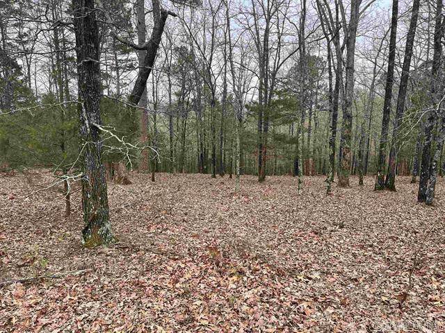 Quitman, AR 72131,Lot 4 Diamond Bluff Road
