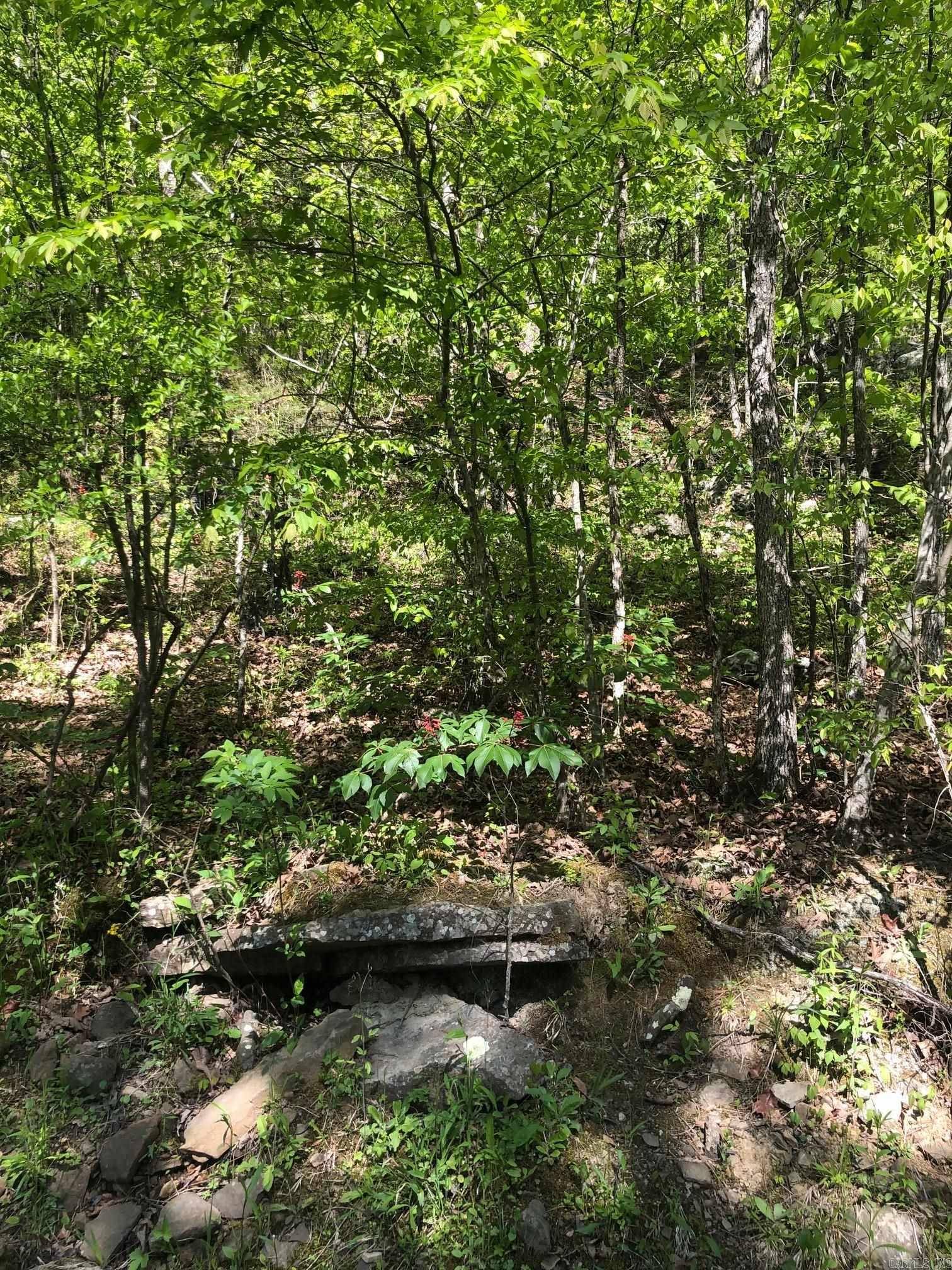 Edgemont, AR 72067,Tract 14 Weldon Rd.