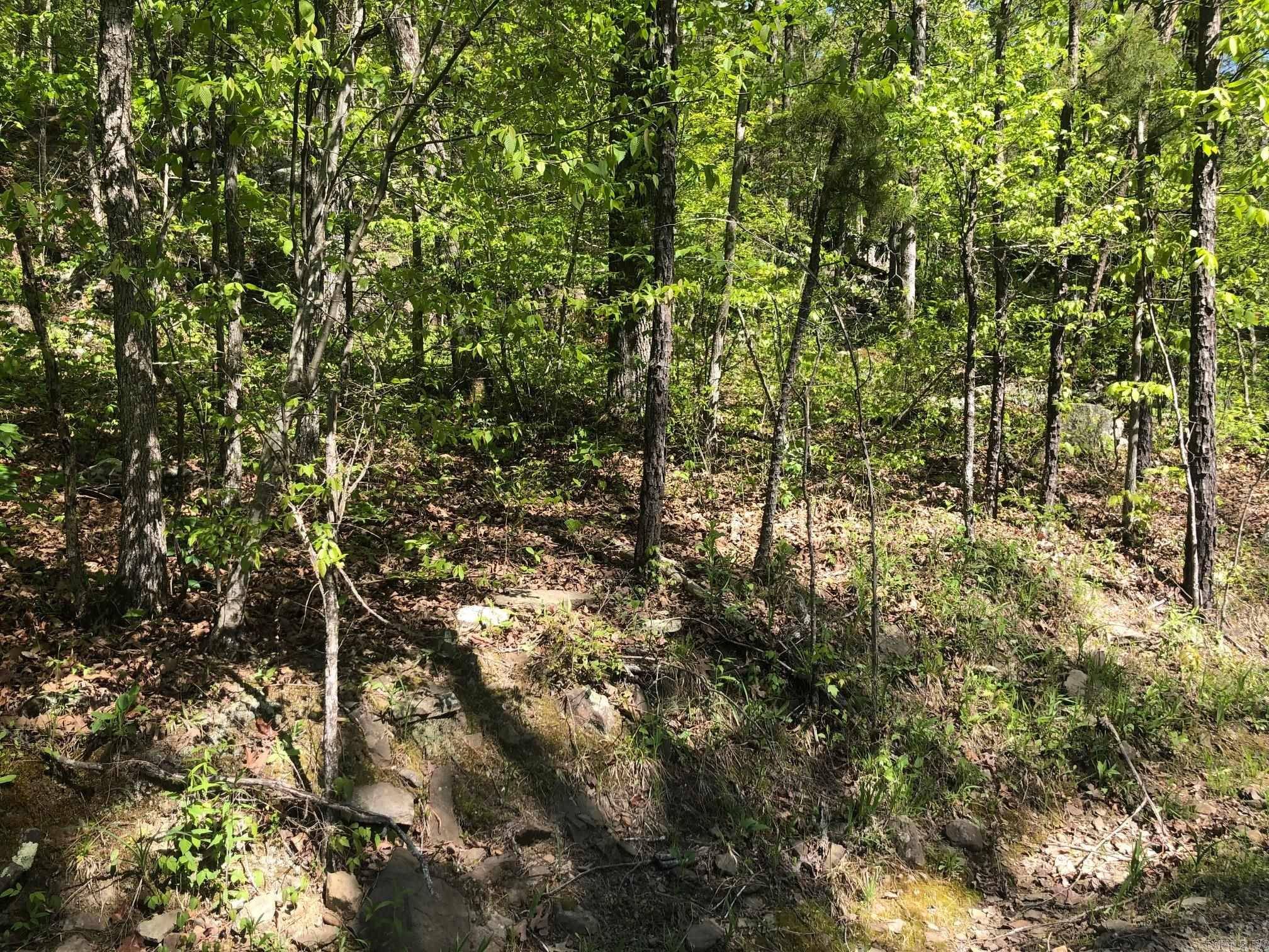 Edgemont, AR 72067,Tract 14 Weldon Rd.