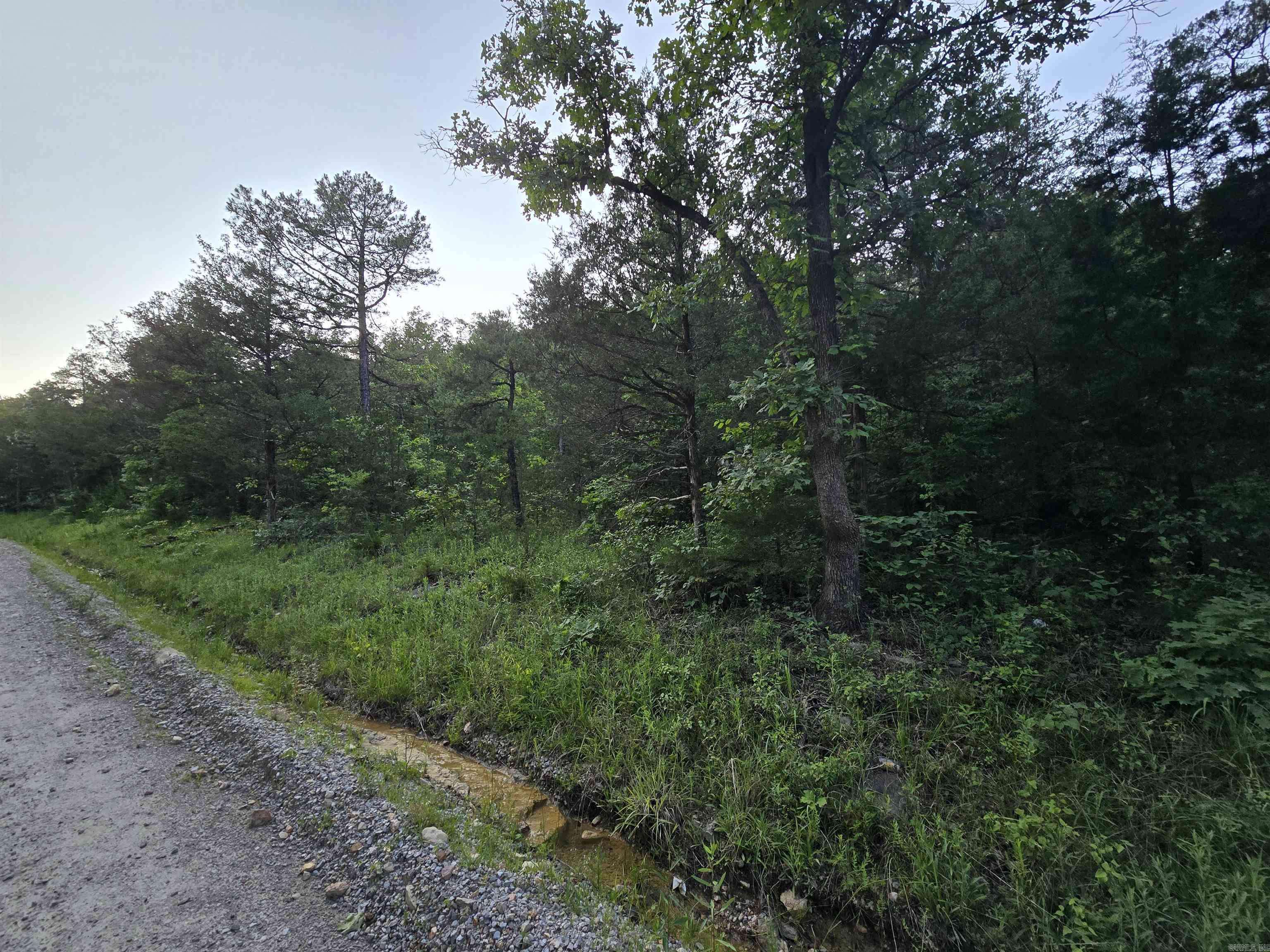 Norfork, AR 72659,N Hopewell Hollow RD