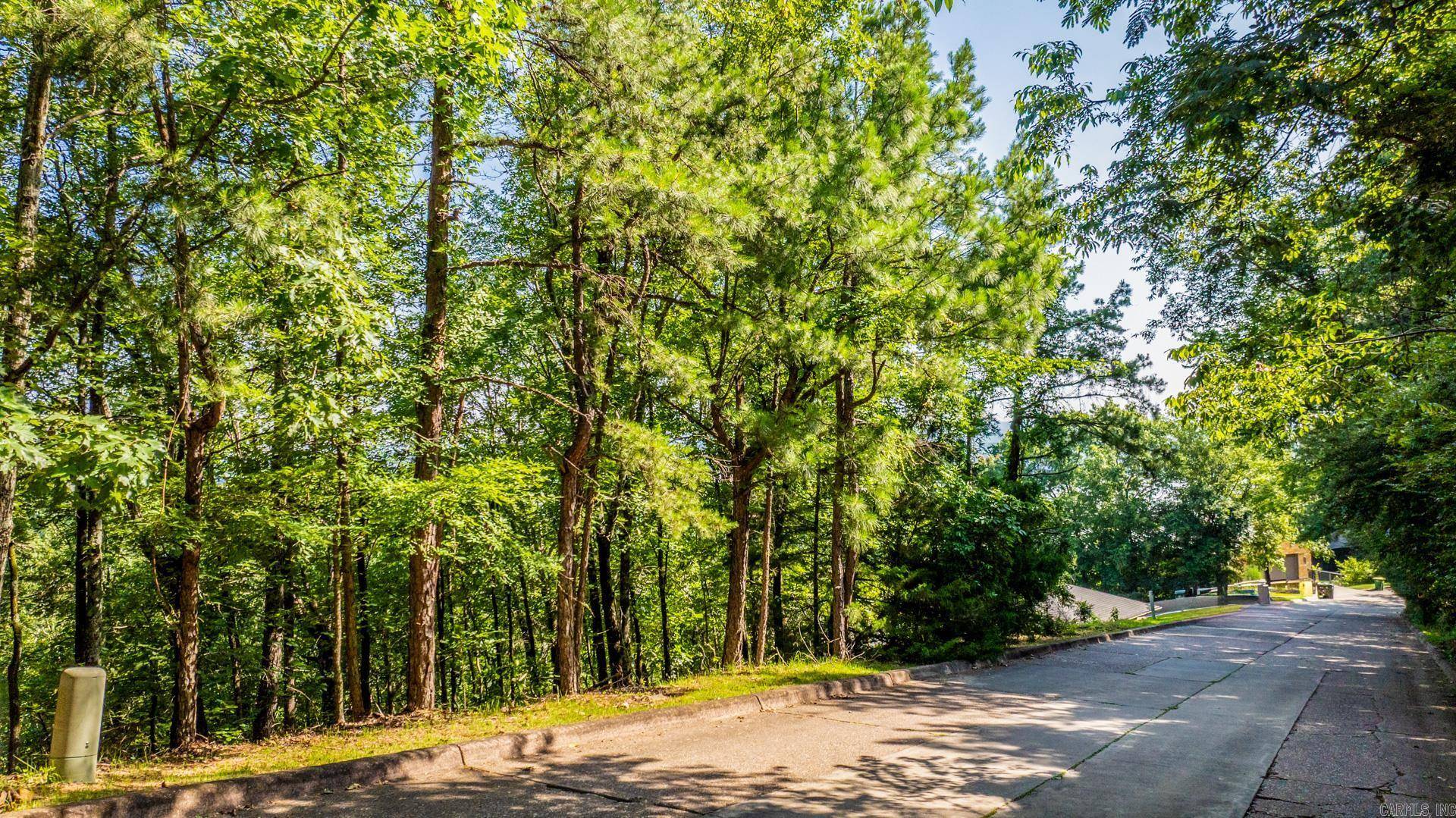 Little Rock, AR 72227,Lot 17 River Ridge Pointe
