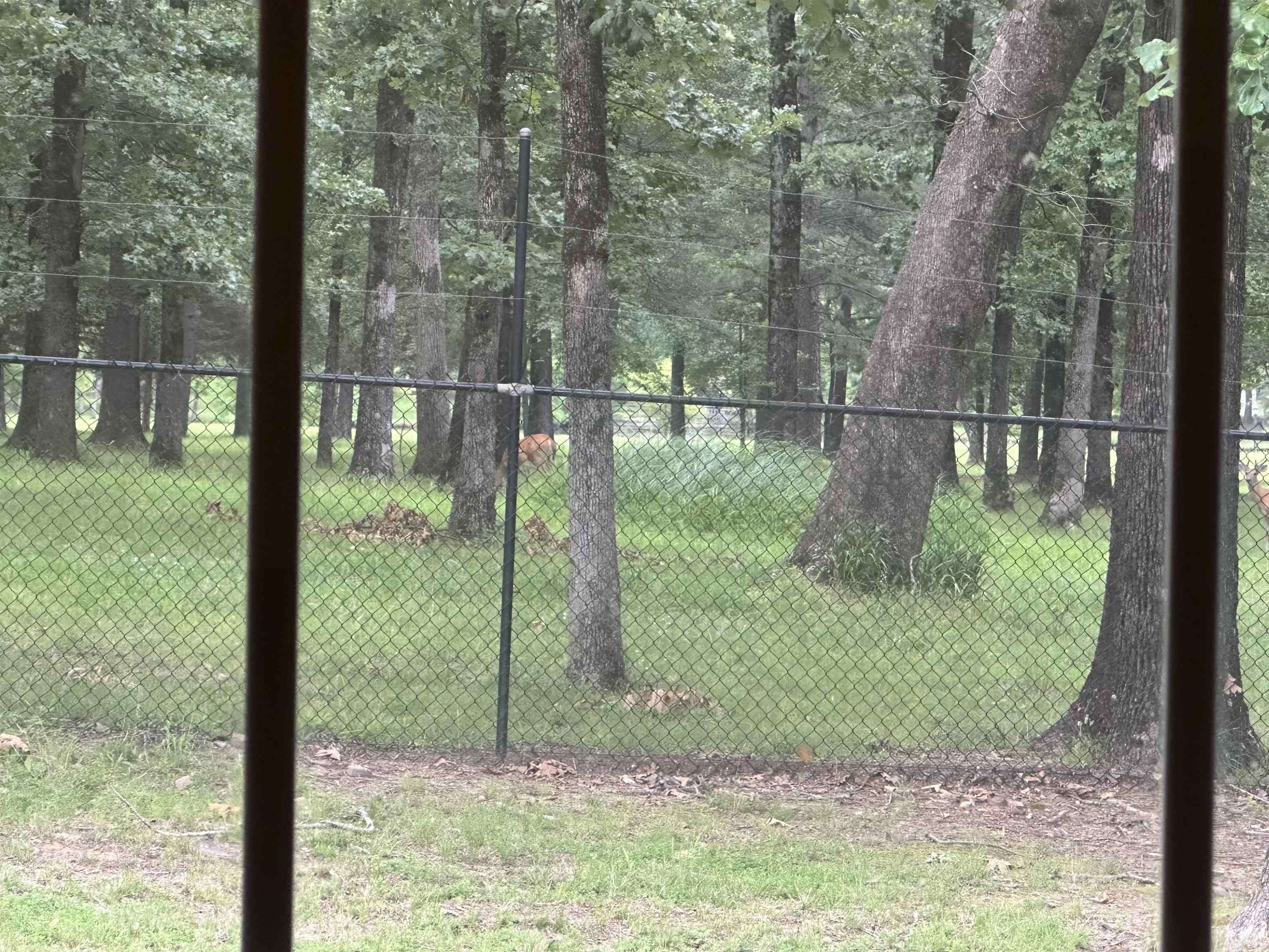 Jacksonville, AR 72076-4255,Address not disclosed