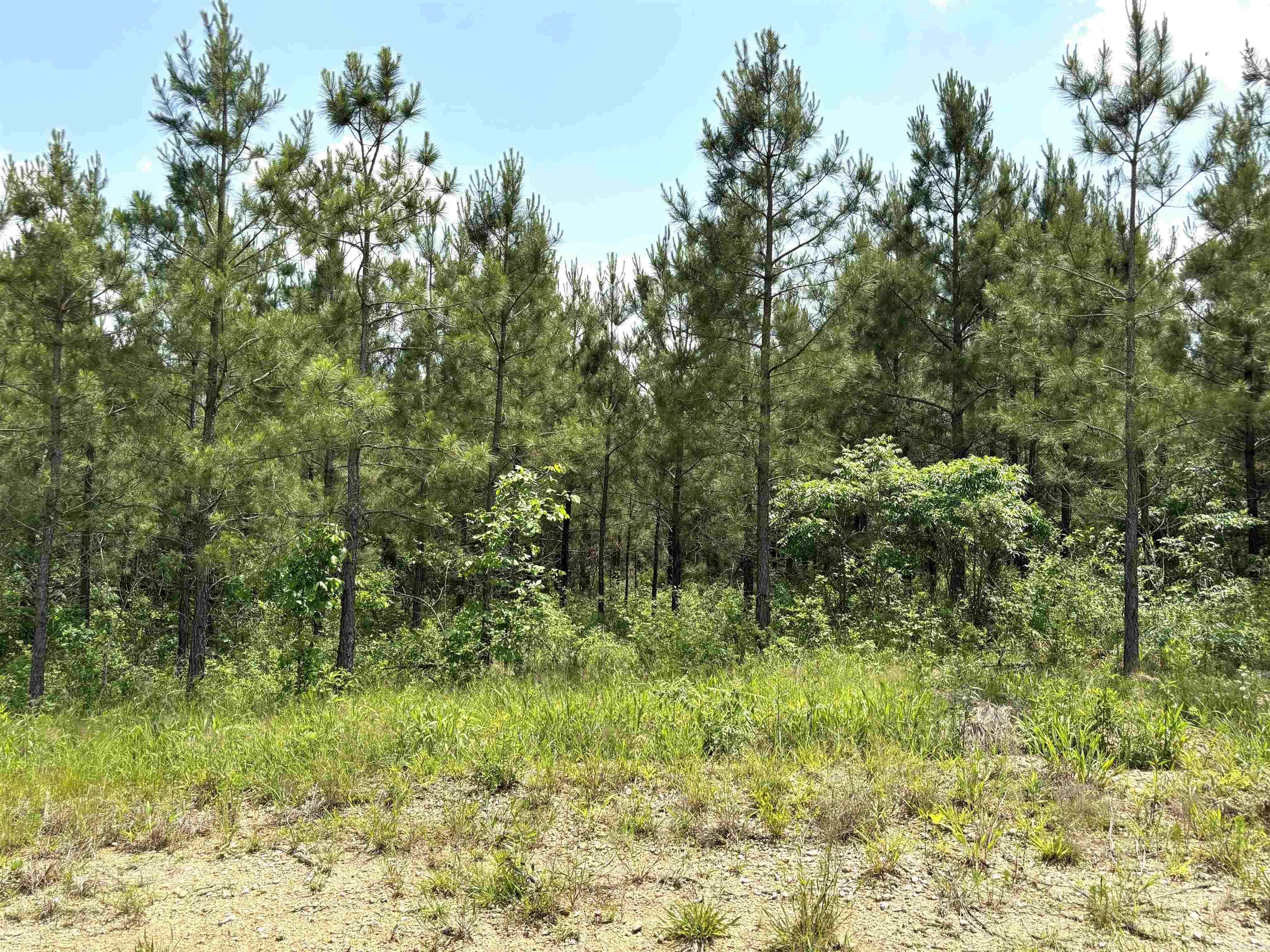 Sheridan, AR 72150,lot 27 Grant County Road 763