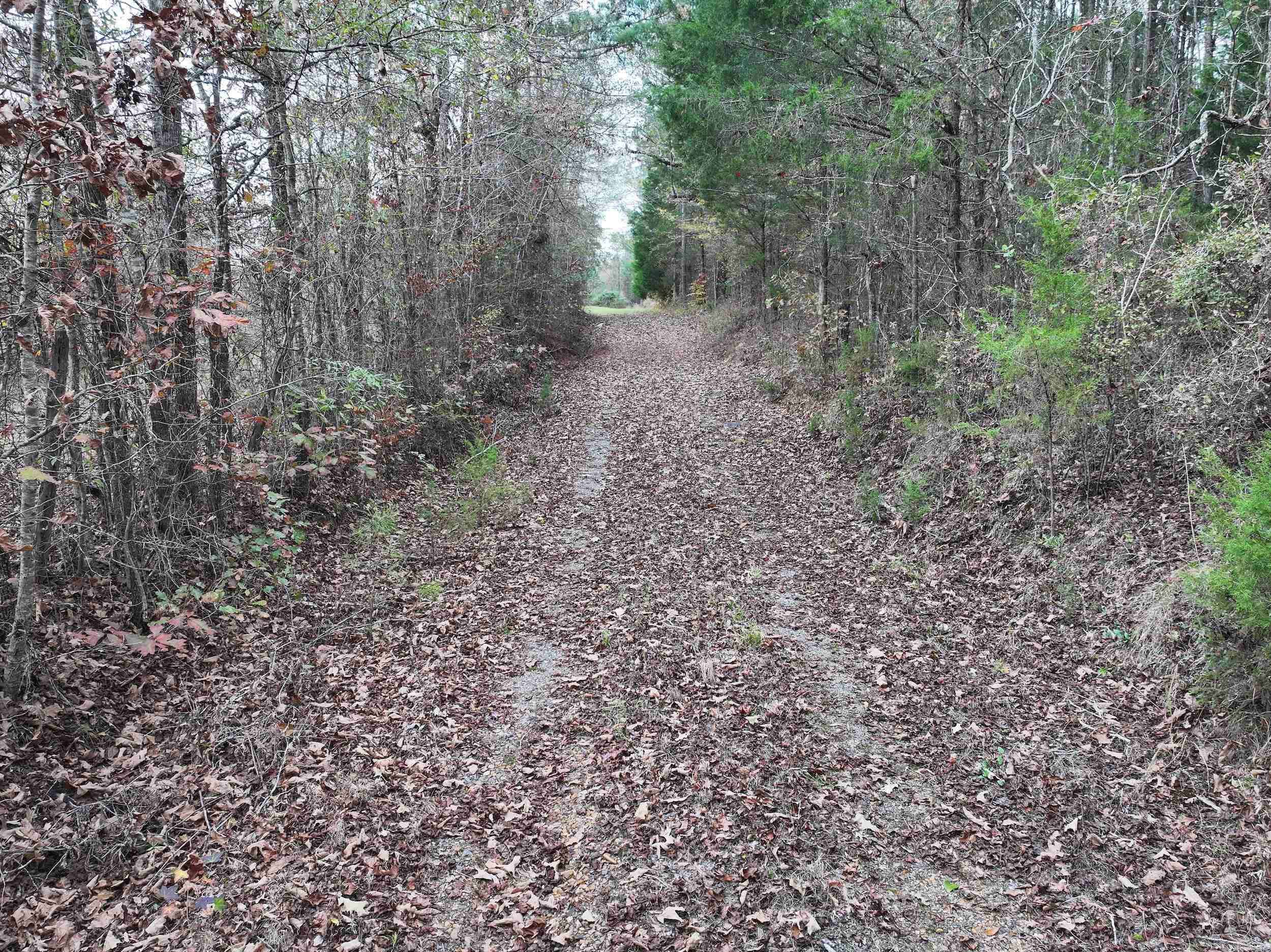 Gurdon, AR 71743,718 Southfork Road