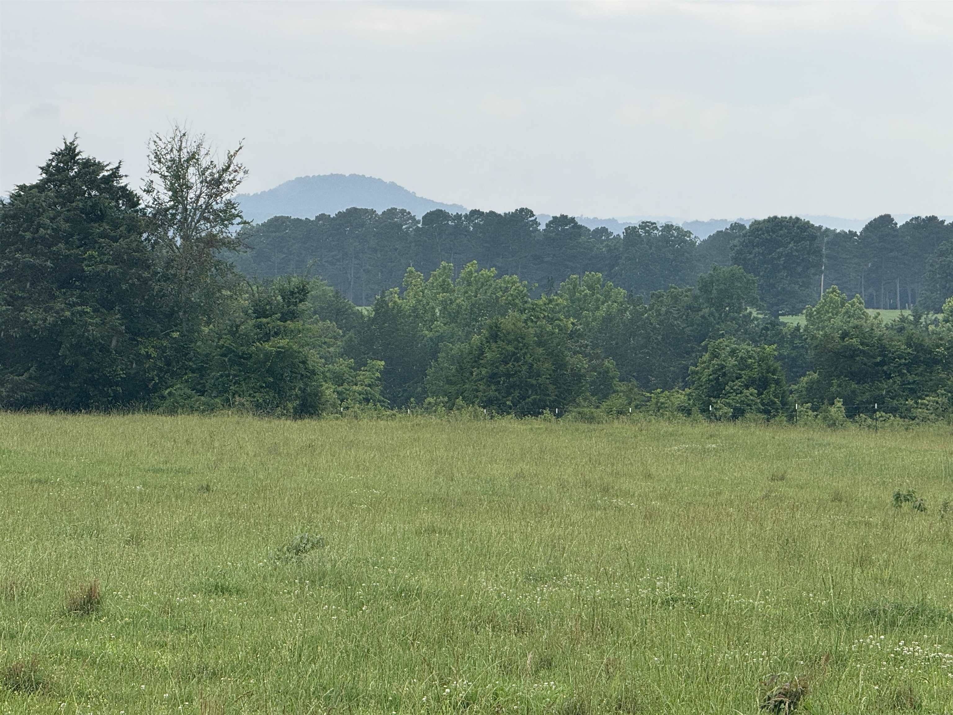 Mountain View, AR 72560,20 Allure Lane