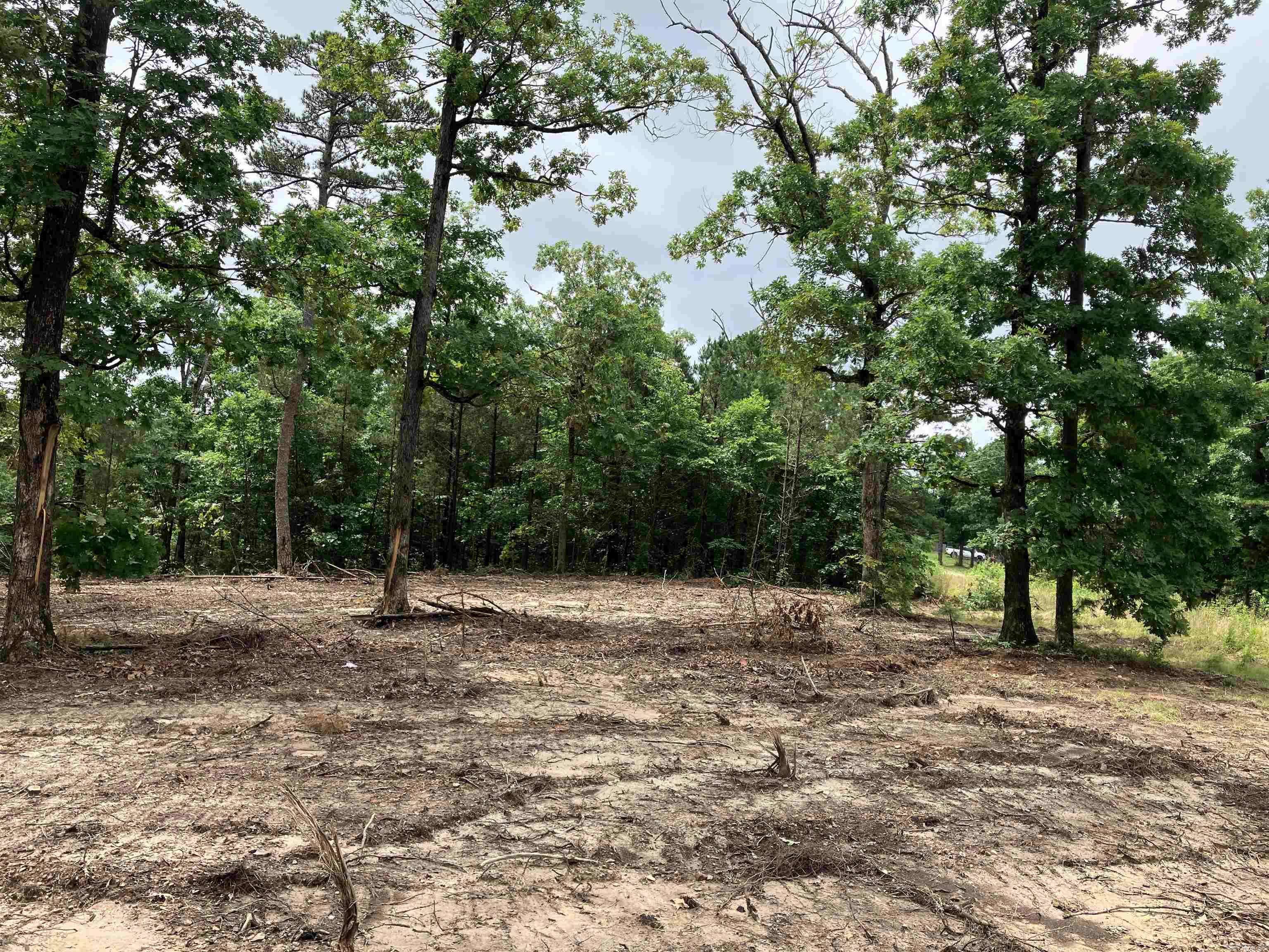 Clinton, AR 72031,533 Eagle View