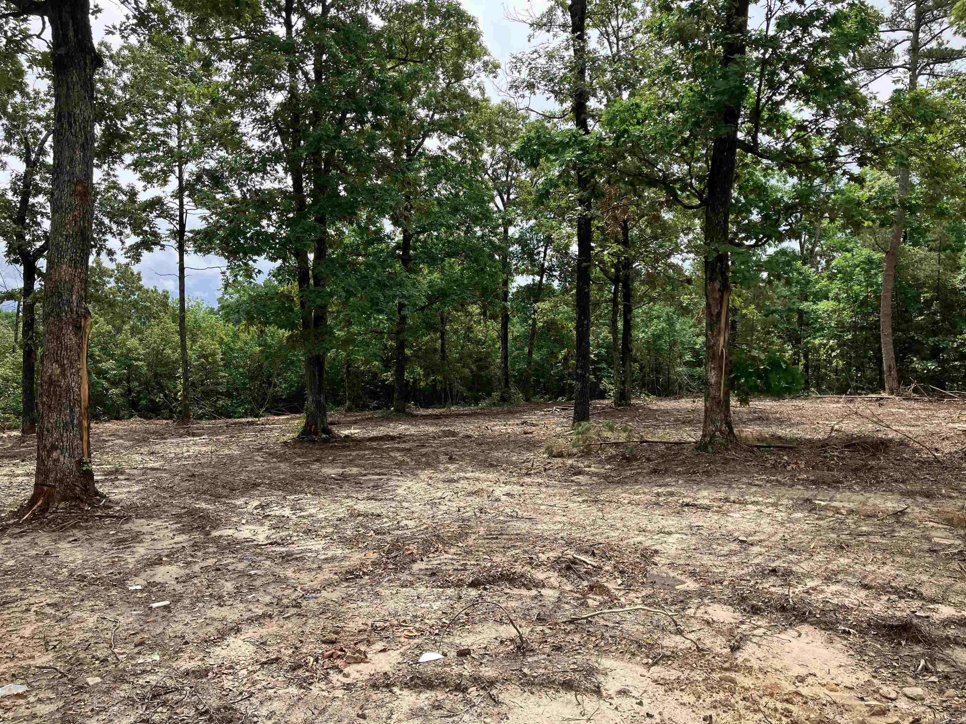 Clinton, AR 72031,533 Eagle View