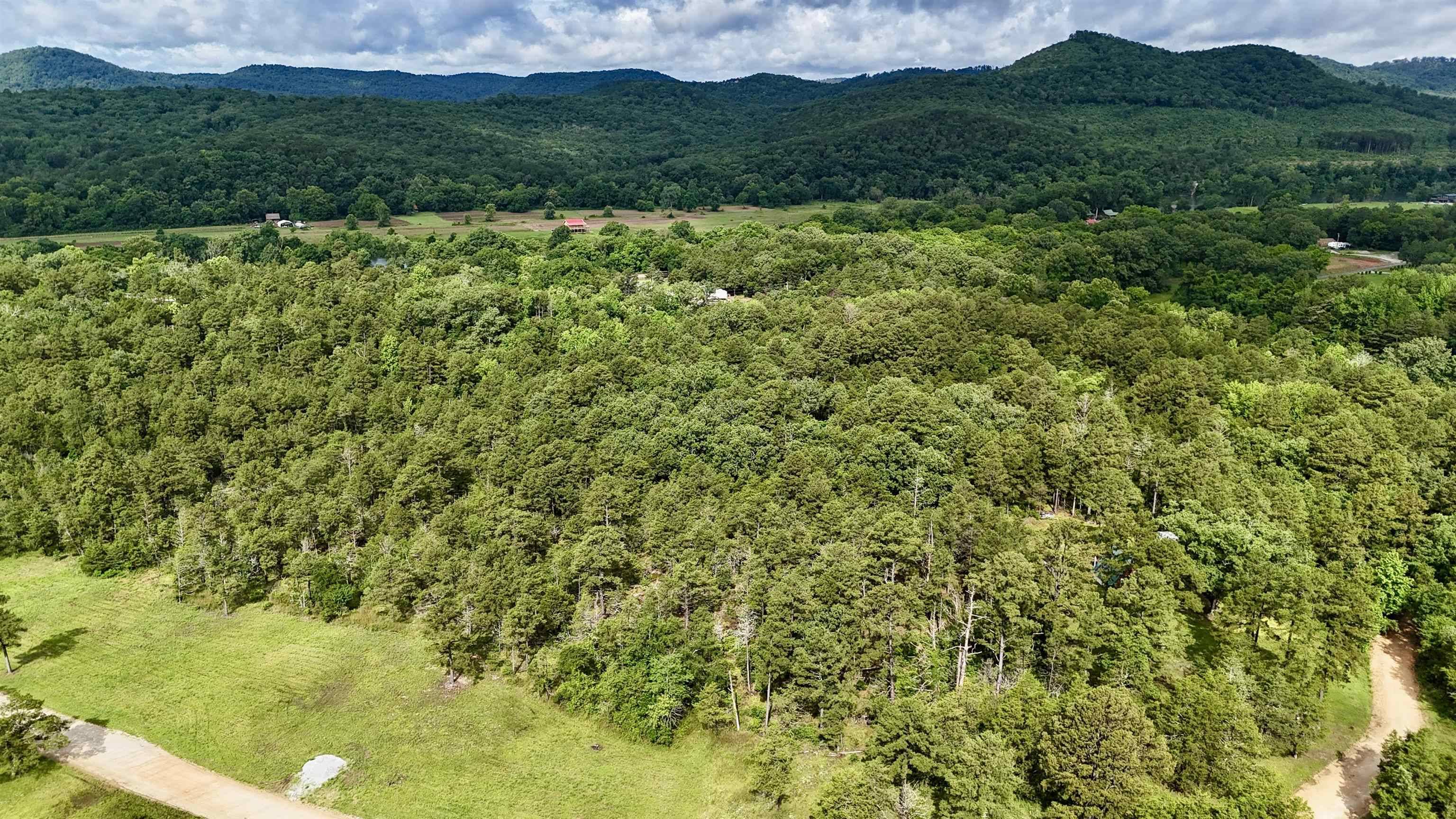 Melbourne, AR 72556,400 Tree Farm Road