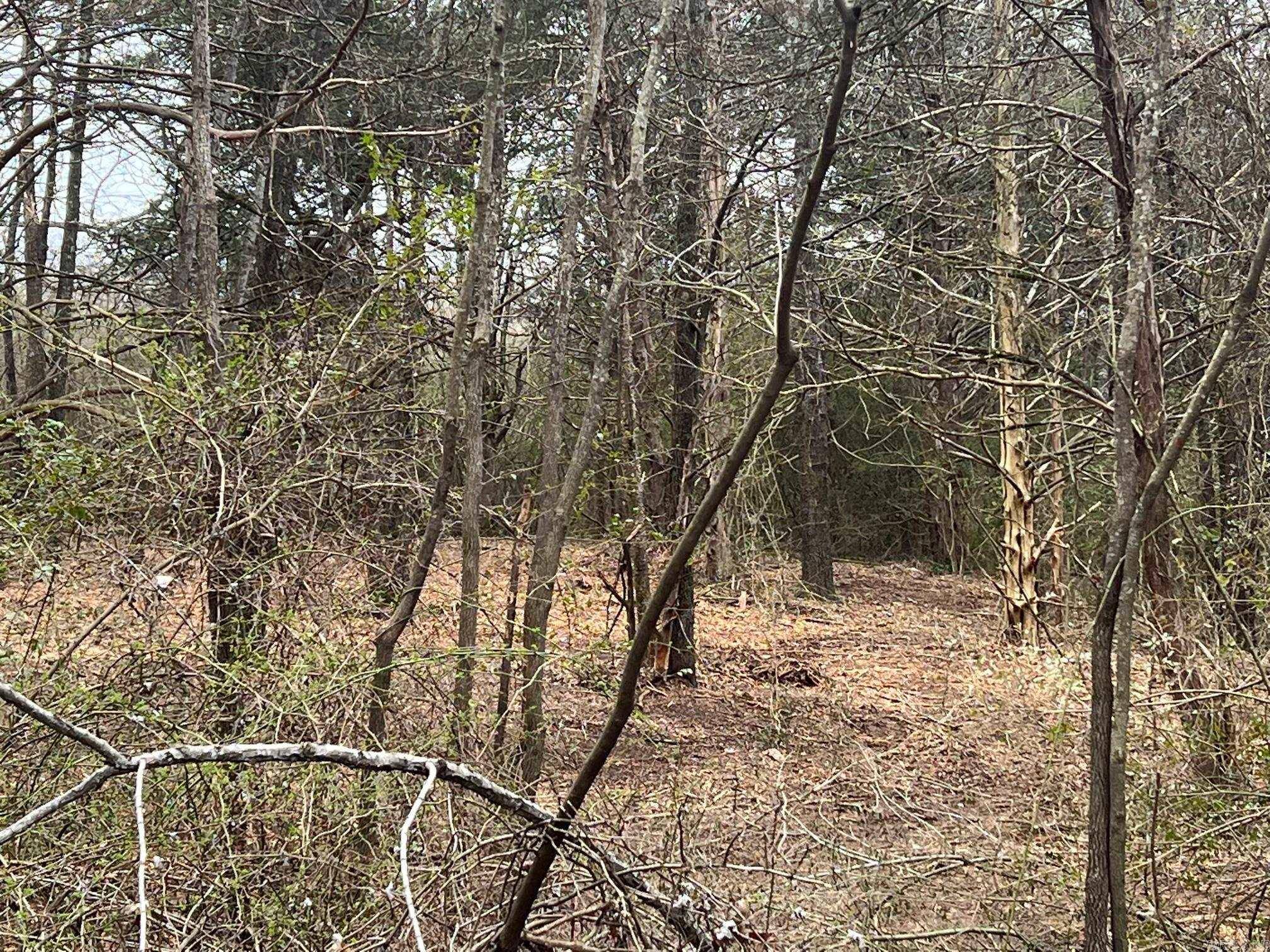 Heber Springs, AR 72543,000 Huntington Place