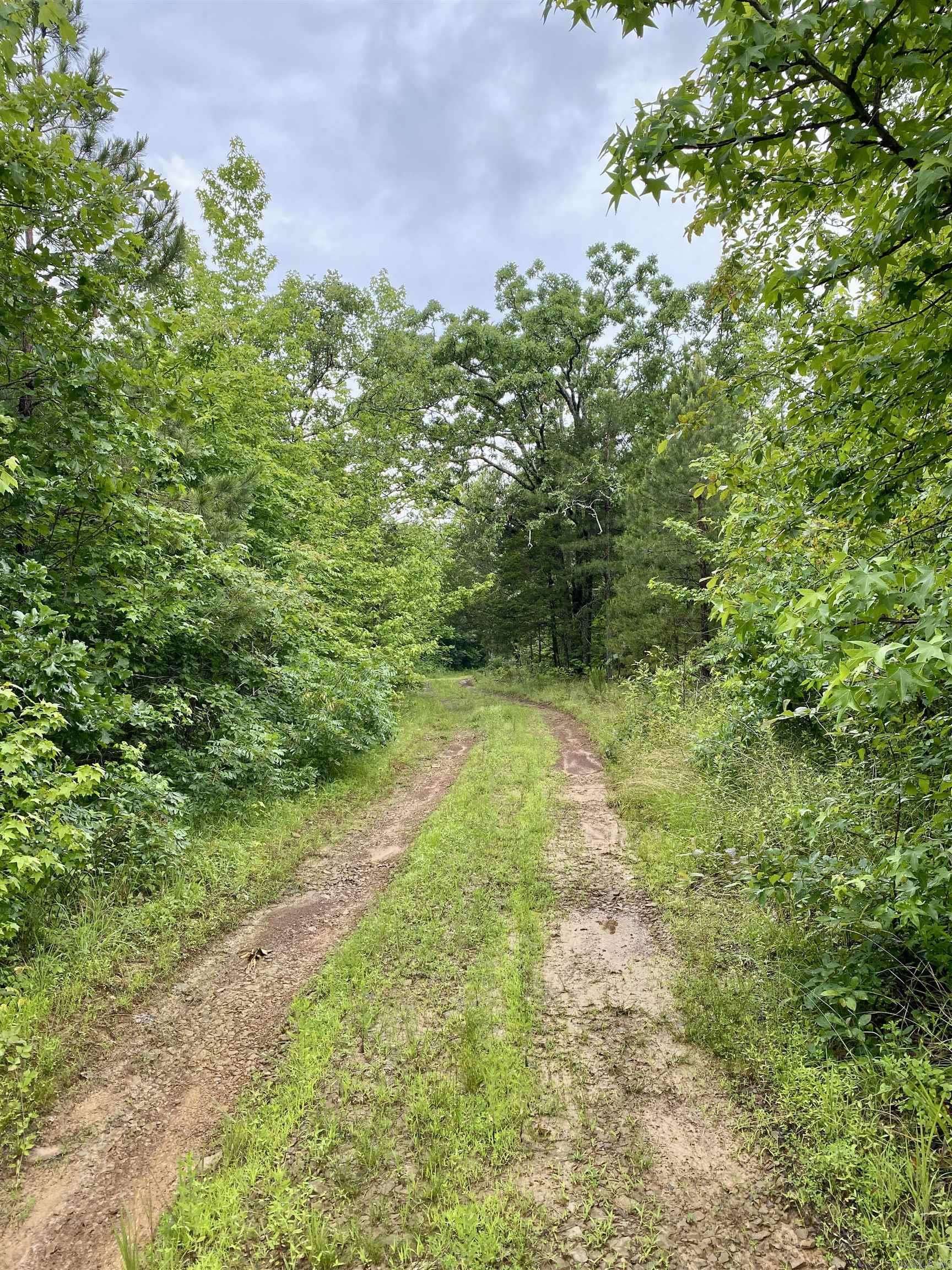 Ozark, AR 72949,1296 County Road 4015