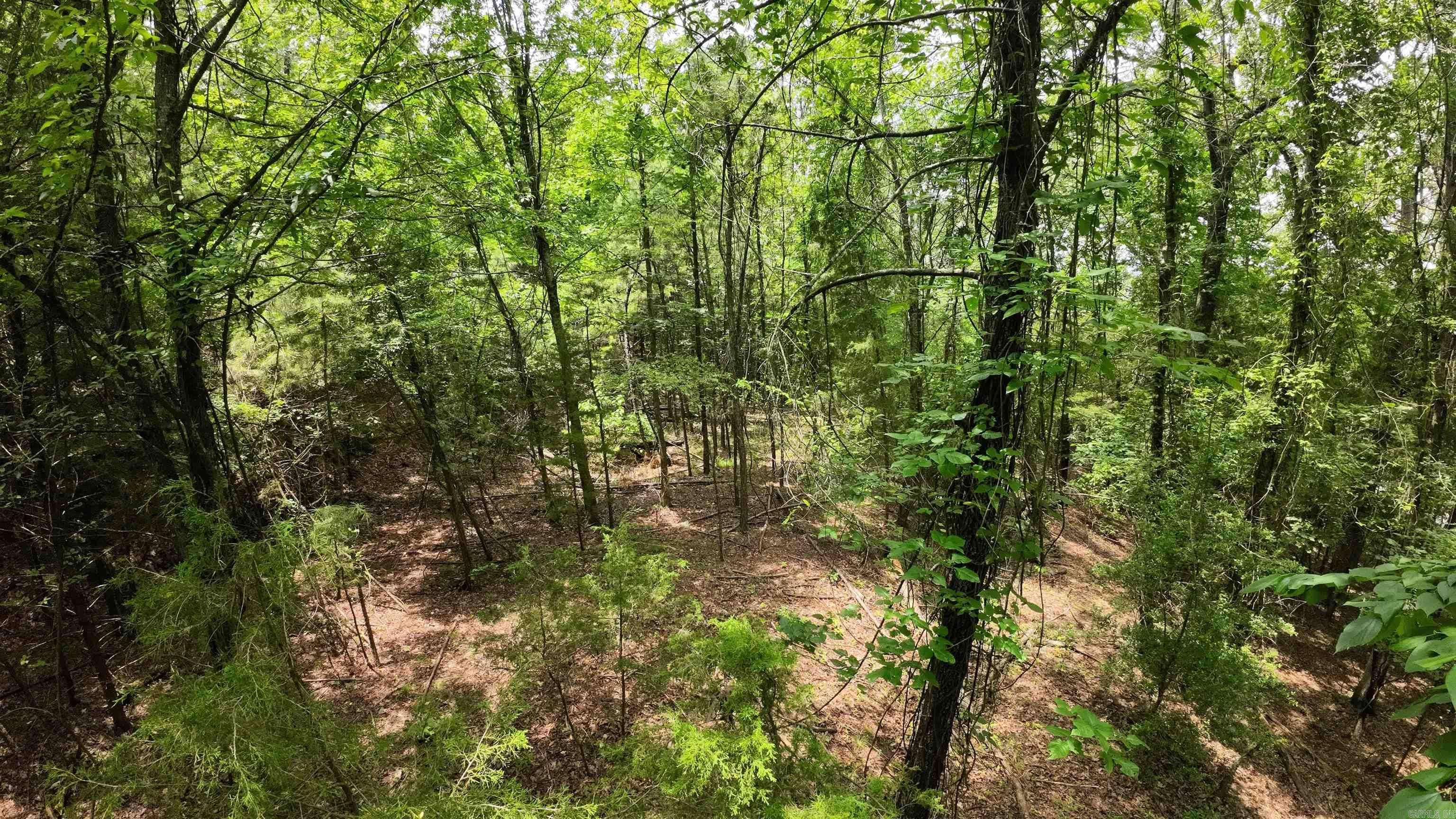 Russellville, AR 72802,000 Long Gum Lane