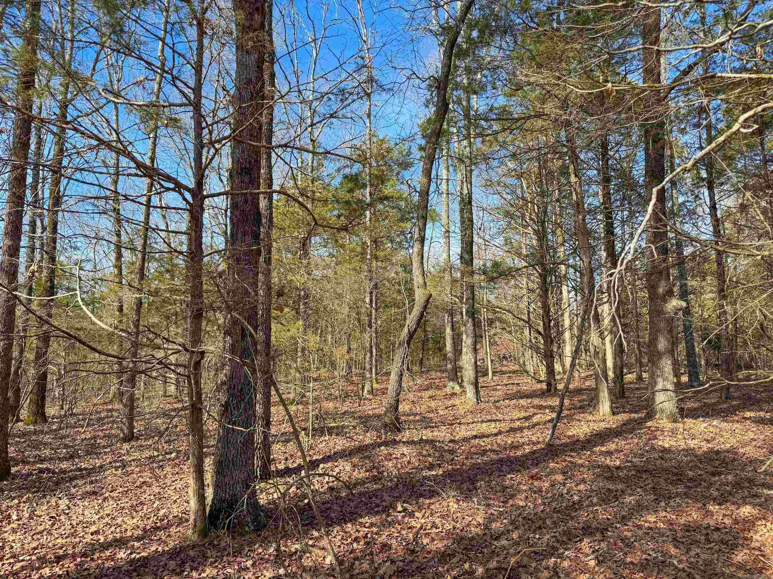 Quitman, AR 72131,181 Old Springfield Road