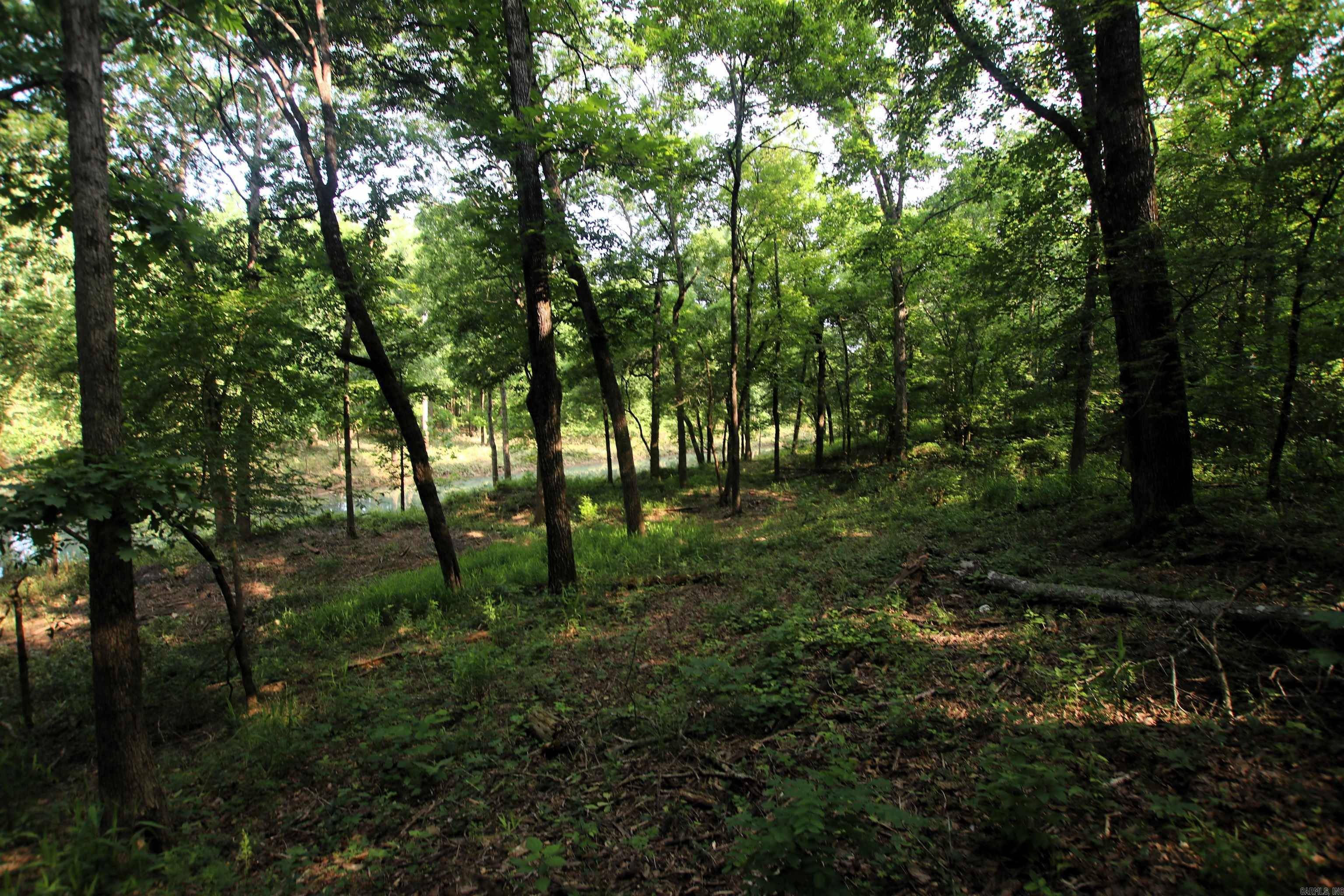 Scotland, AR 72141,000 Drivers Creek Lane