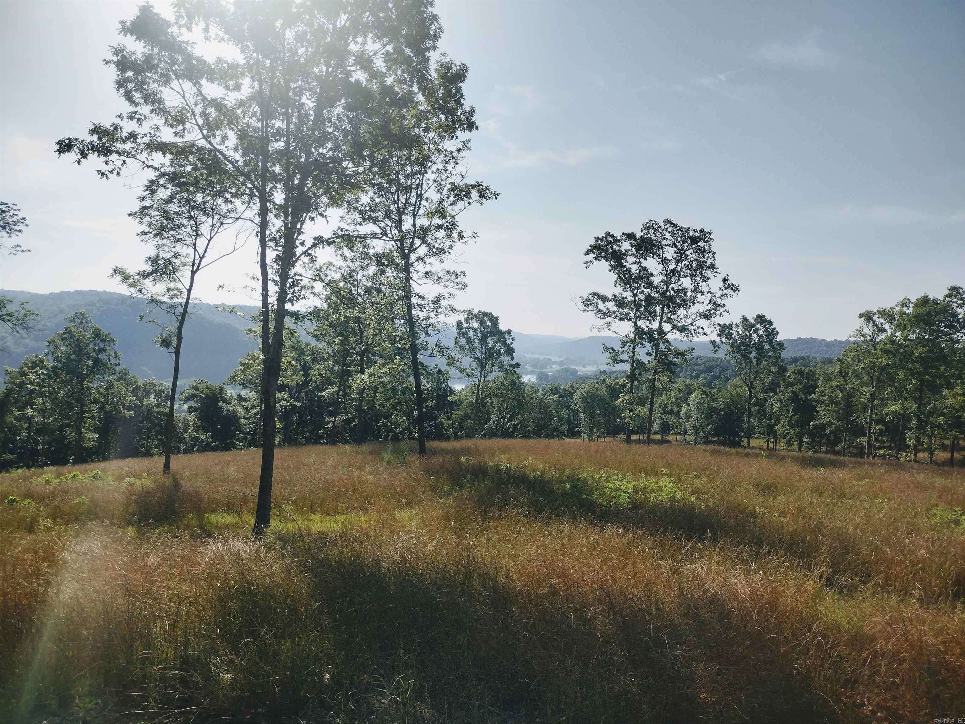 Mountain View, AR 72560,0 Burten Hill Road