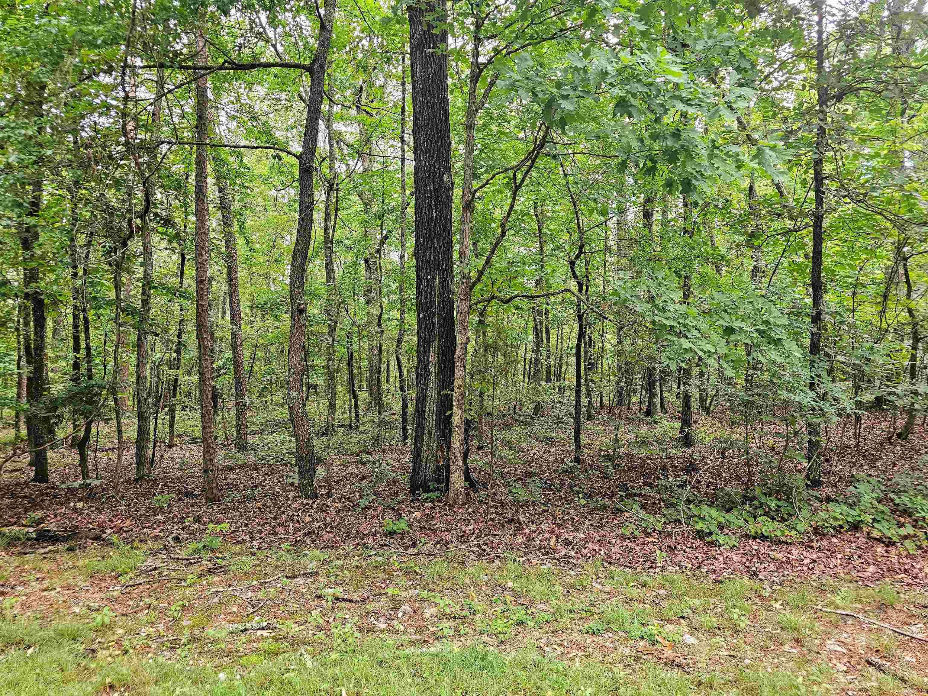 Hot Springs Village, AR 71909,10 Paella Lane